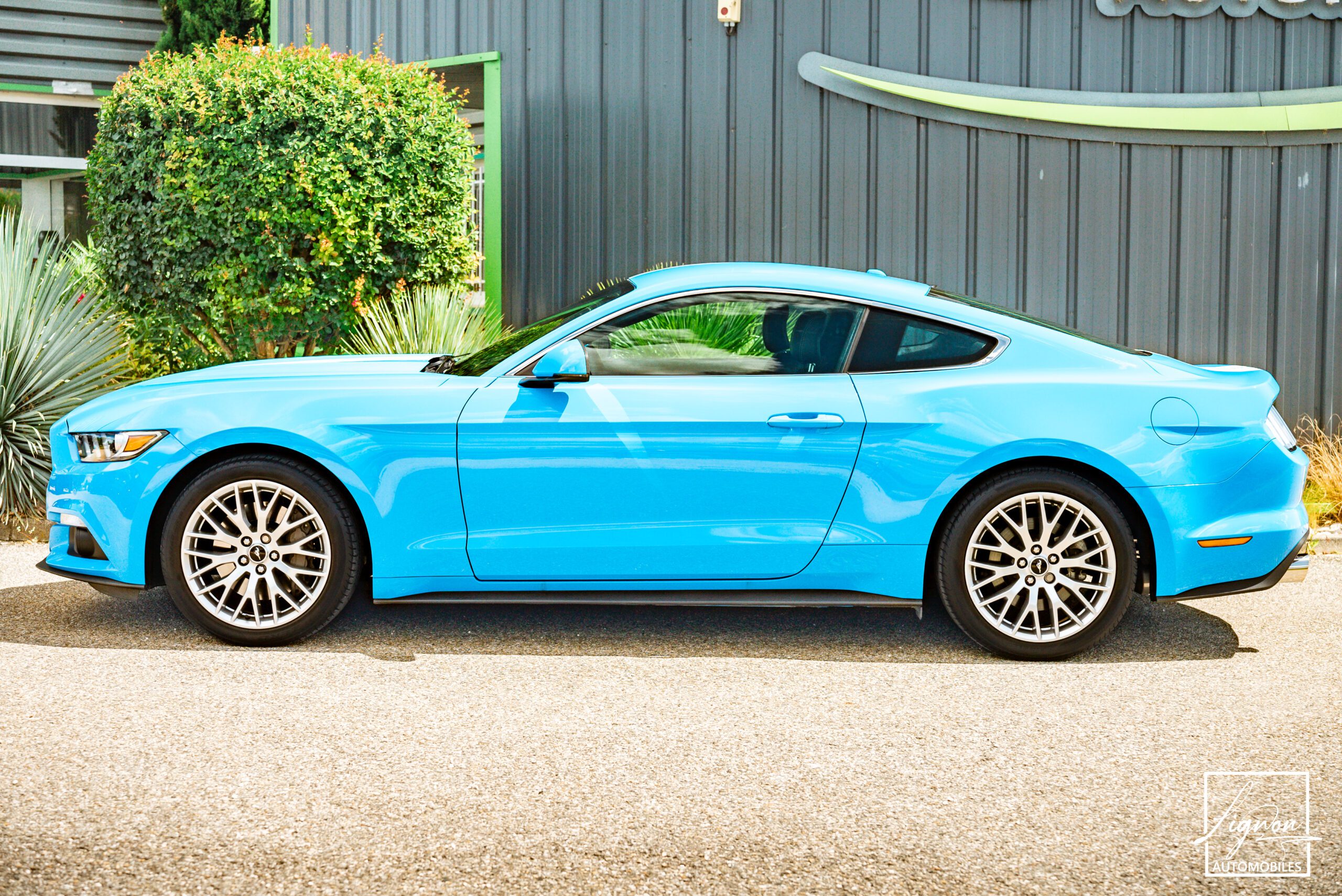 Photo Ford Mustang 2.3 Fastback Ecoboost 317ch BVM6