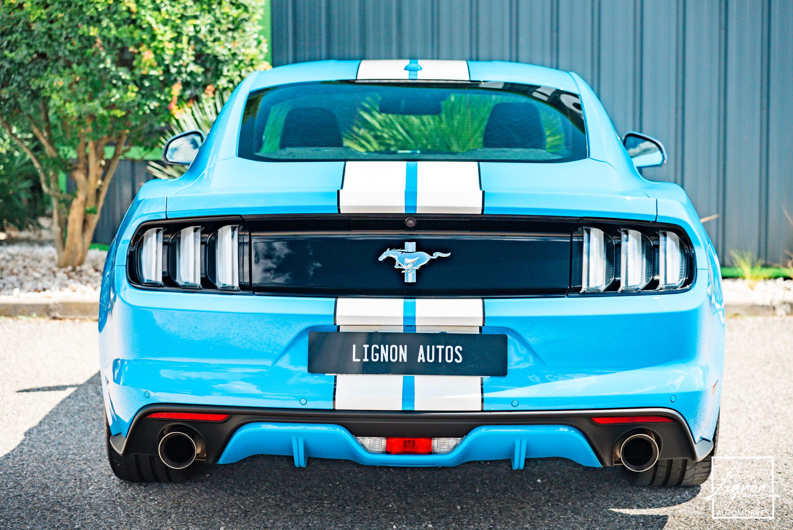 Photo Ford Mustang 2.3 Fastback Ecoboost 317ch BVM6