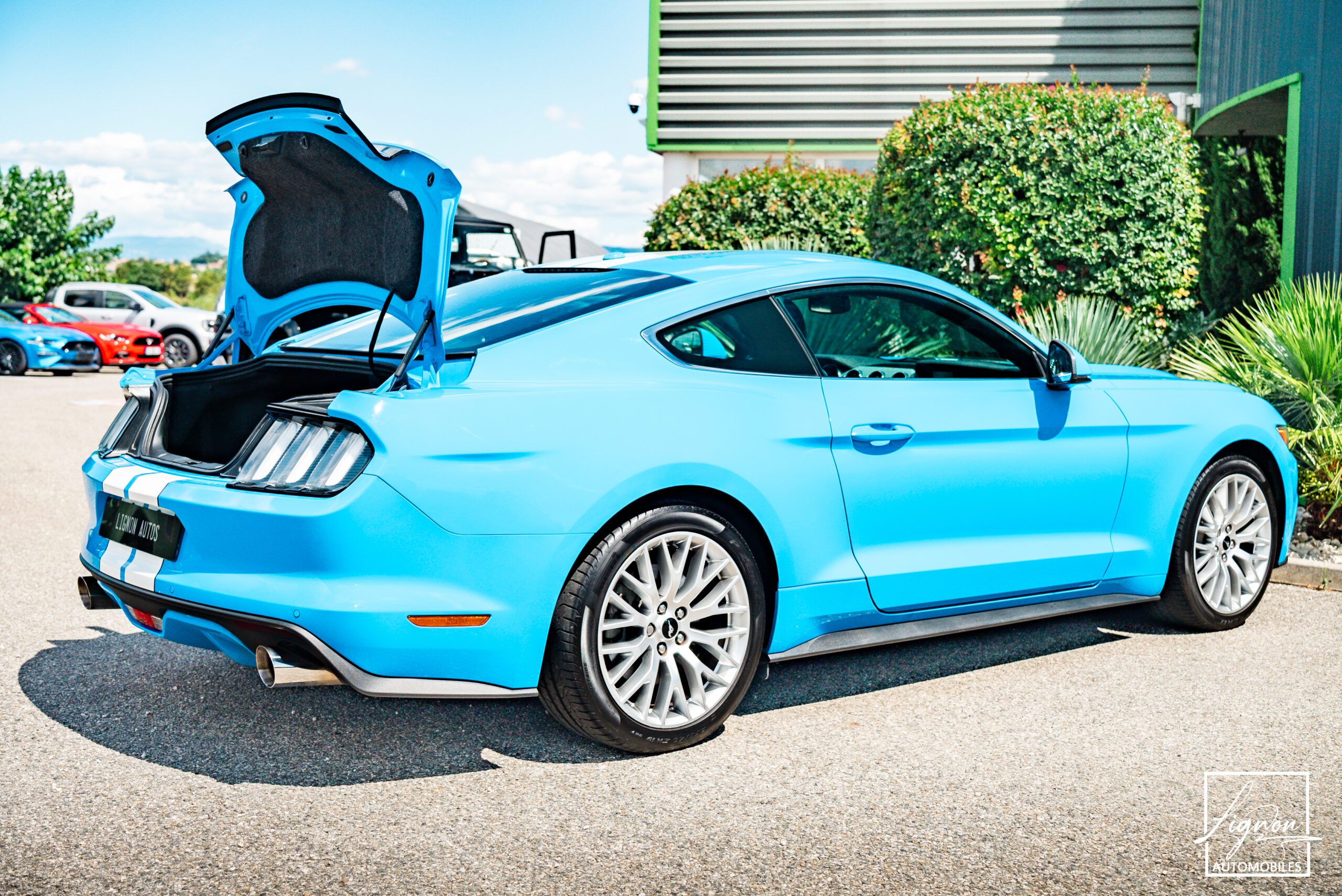 Photo Ford Mustang 2.3 Fastback Ecoboost 317ch BVM6