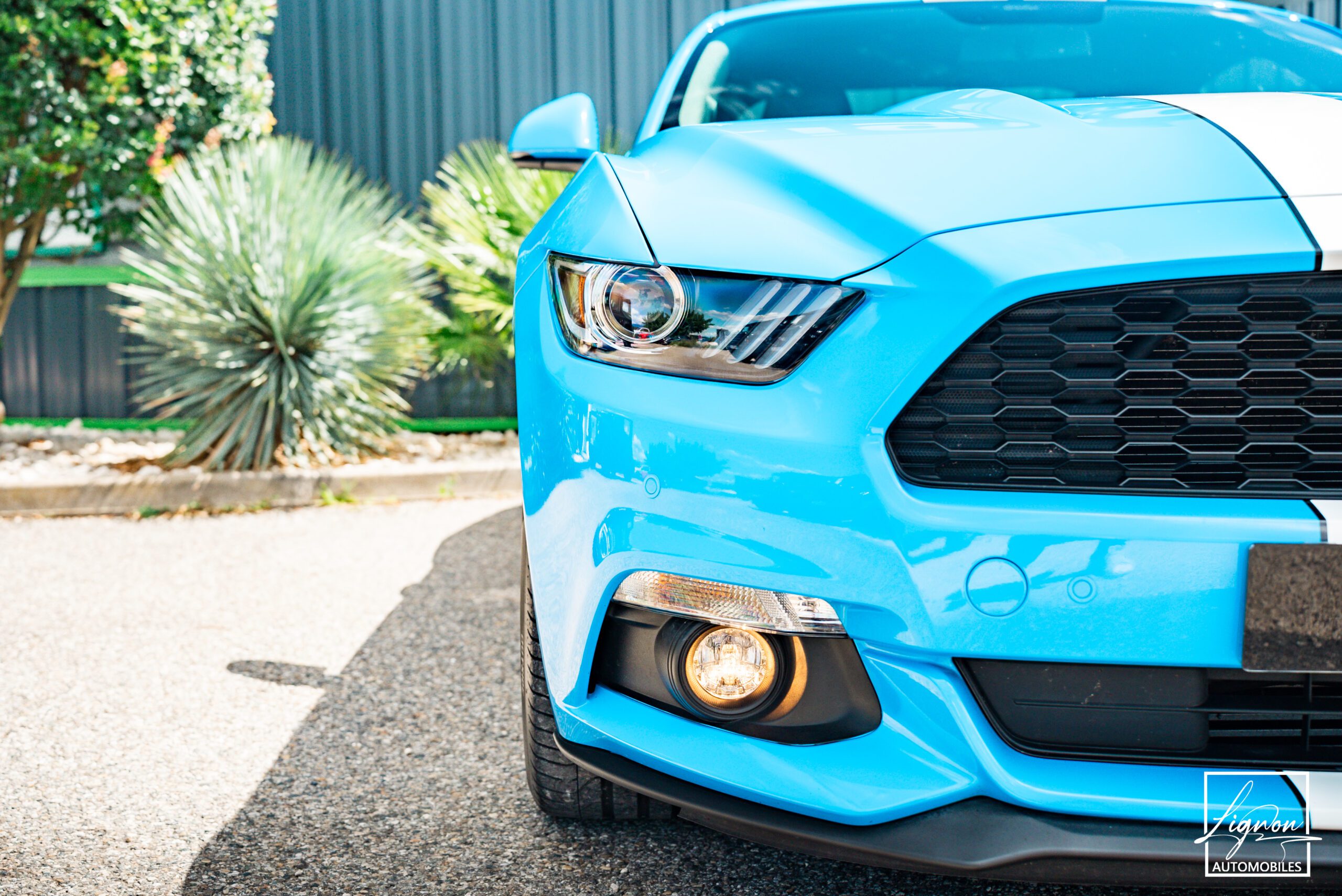 Photo Ford Mustang 2.3 Fastback Ecoboost 317ch BVM6