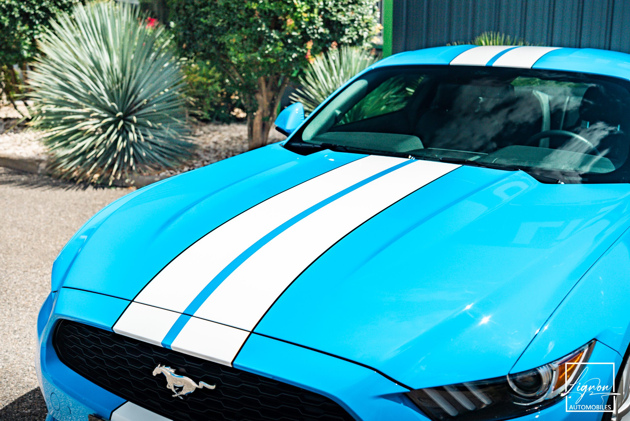Photo Ford Mustang 2.3 Fastback Ecoboost 317ch BVM6