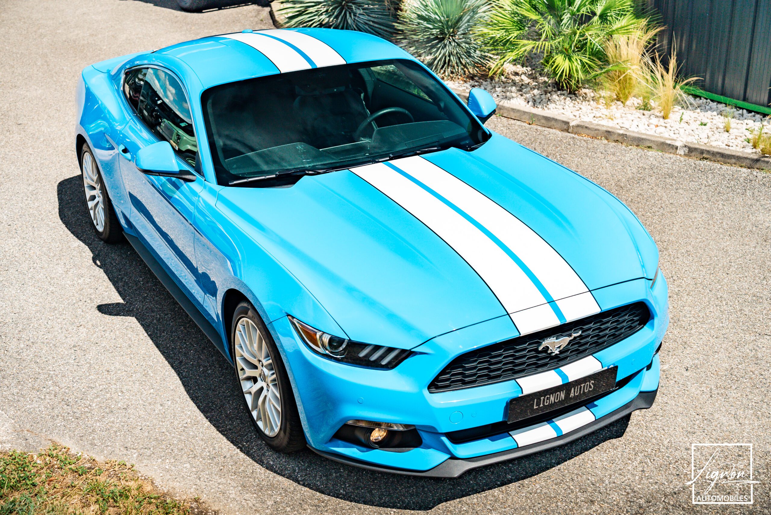 Photo Ford Mustang 2.3 Fastback Ecoboost 317ch BVM6