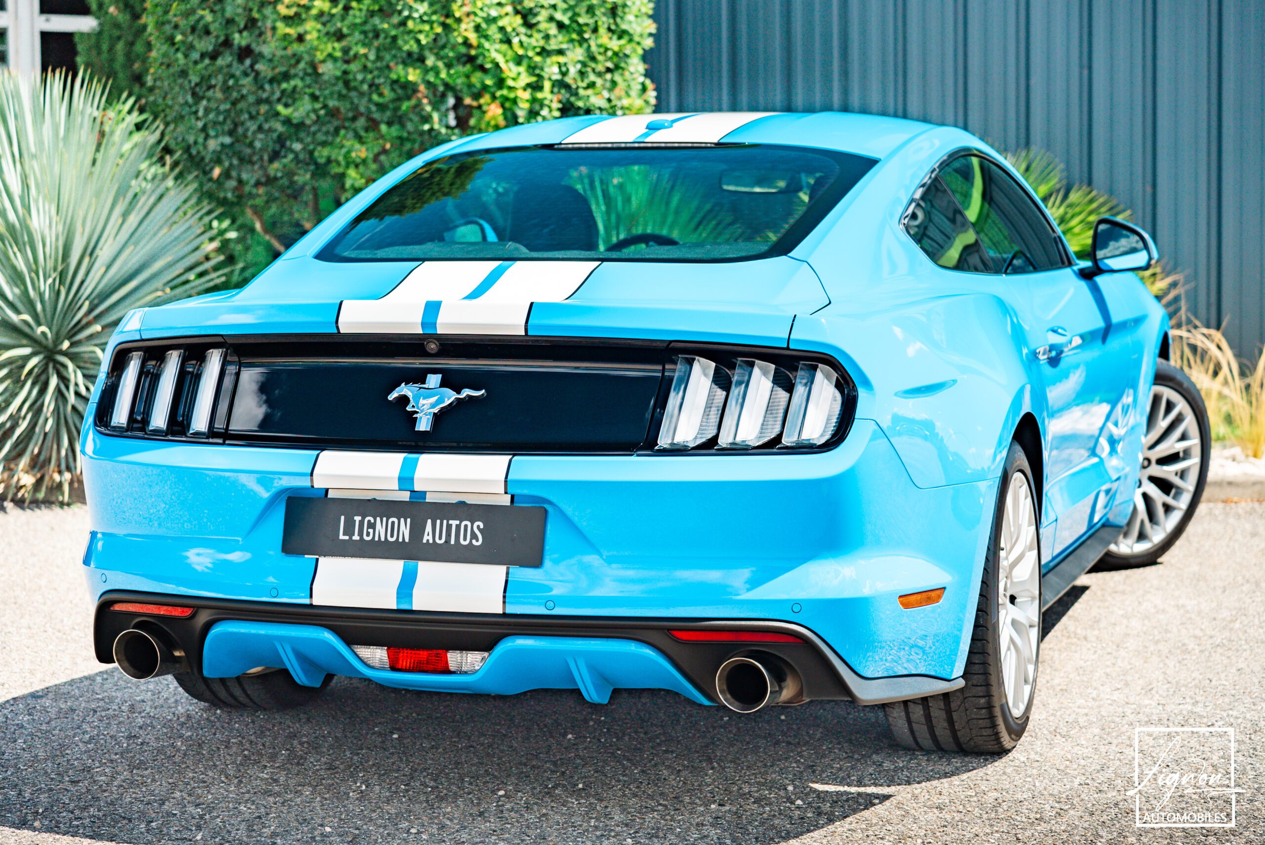 Ford Mustang 2.3 Fastback Ecoboost 317ch BVM6