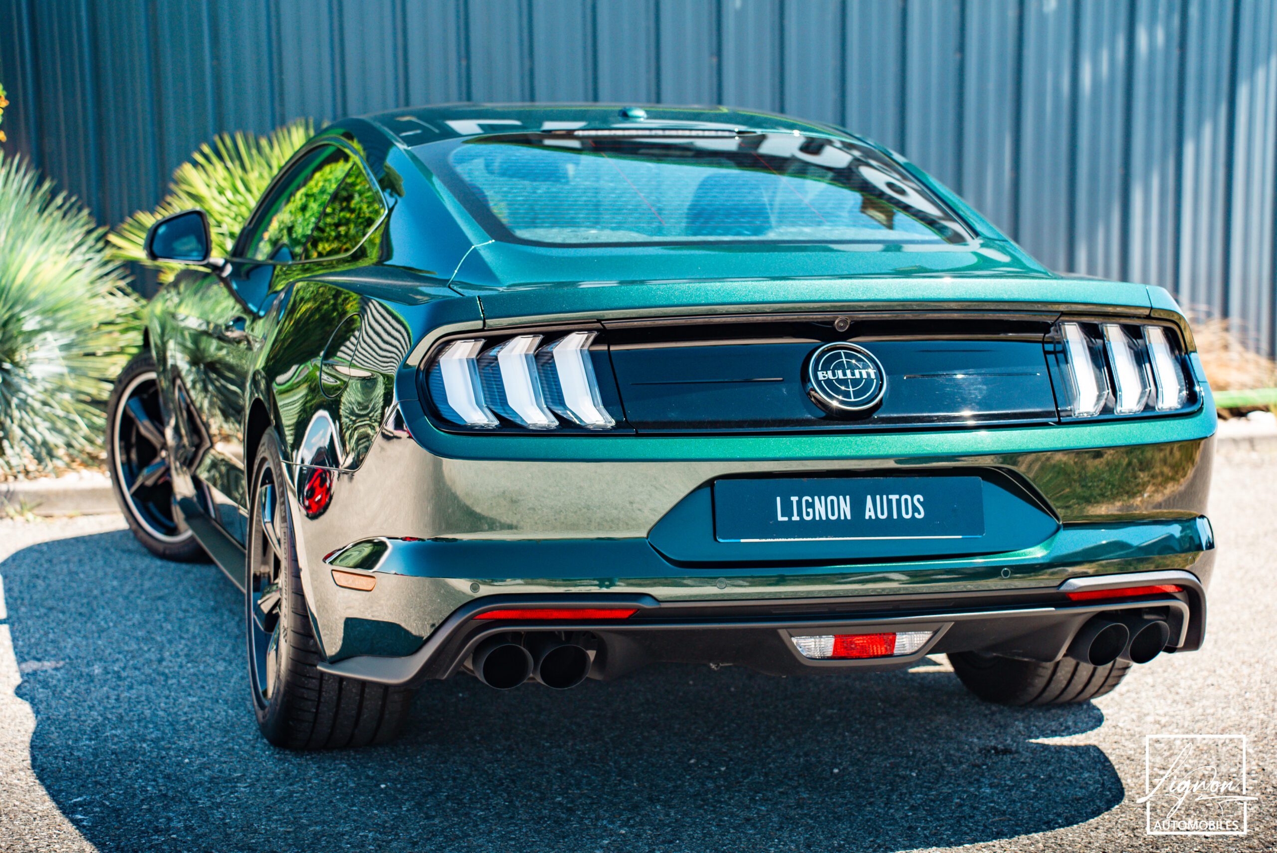 Photo Ford Mustang Bullitt GT 5.0 V8 460 ch