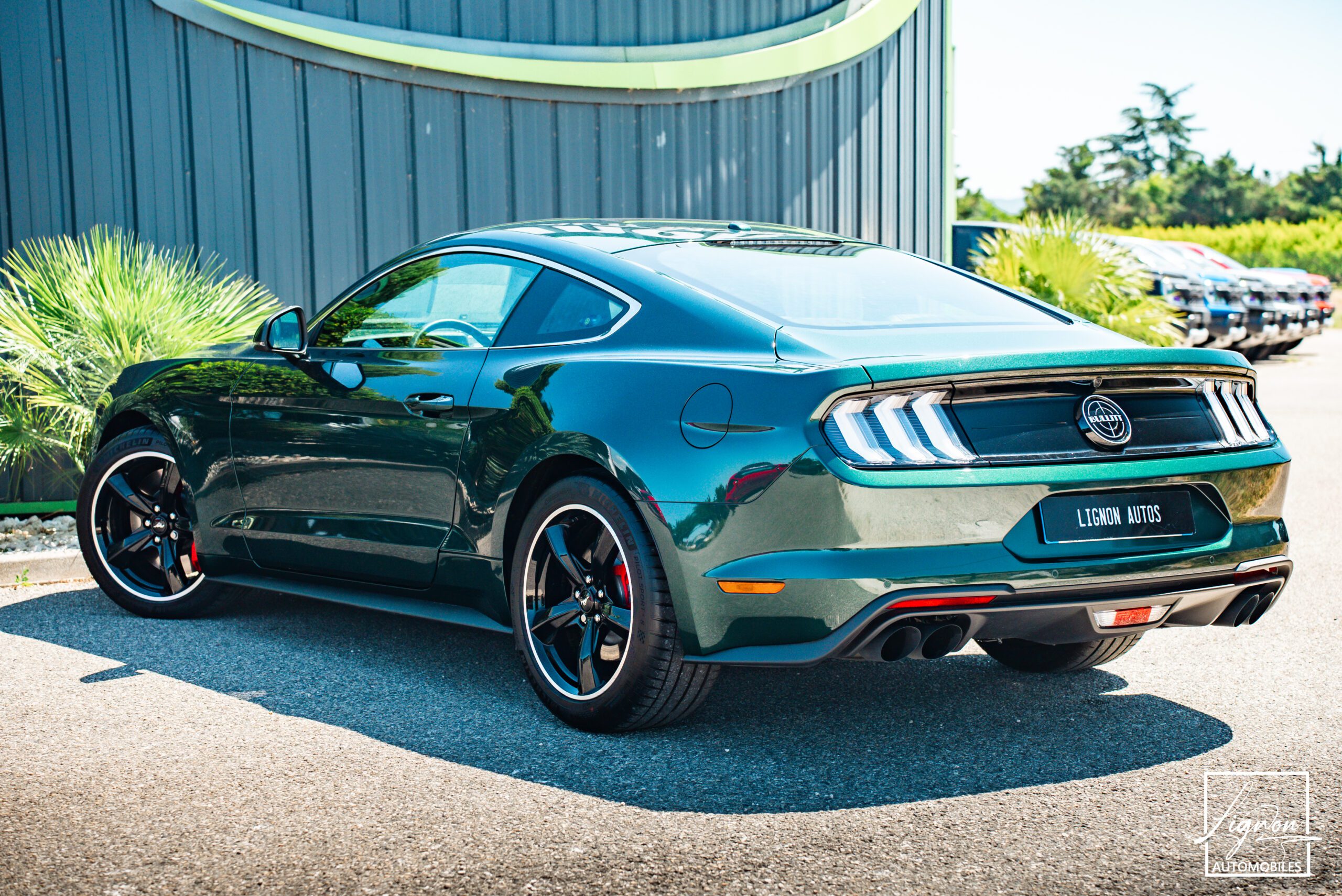 Photo Ford Mustang Bullitt GT 5.0 V8 460 ch