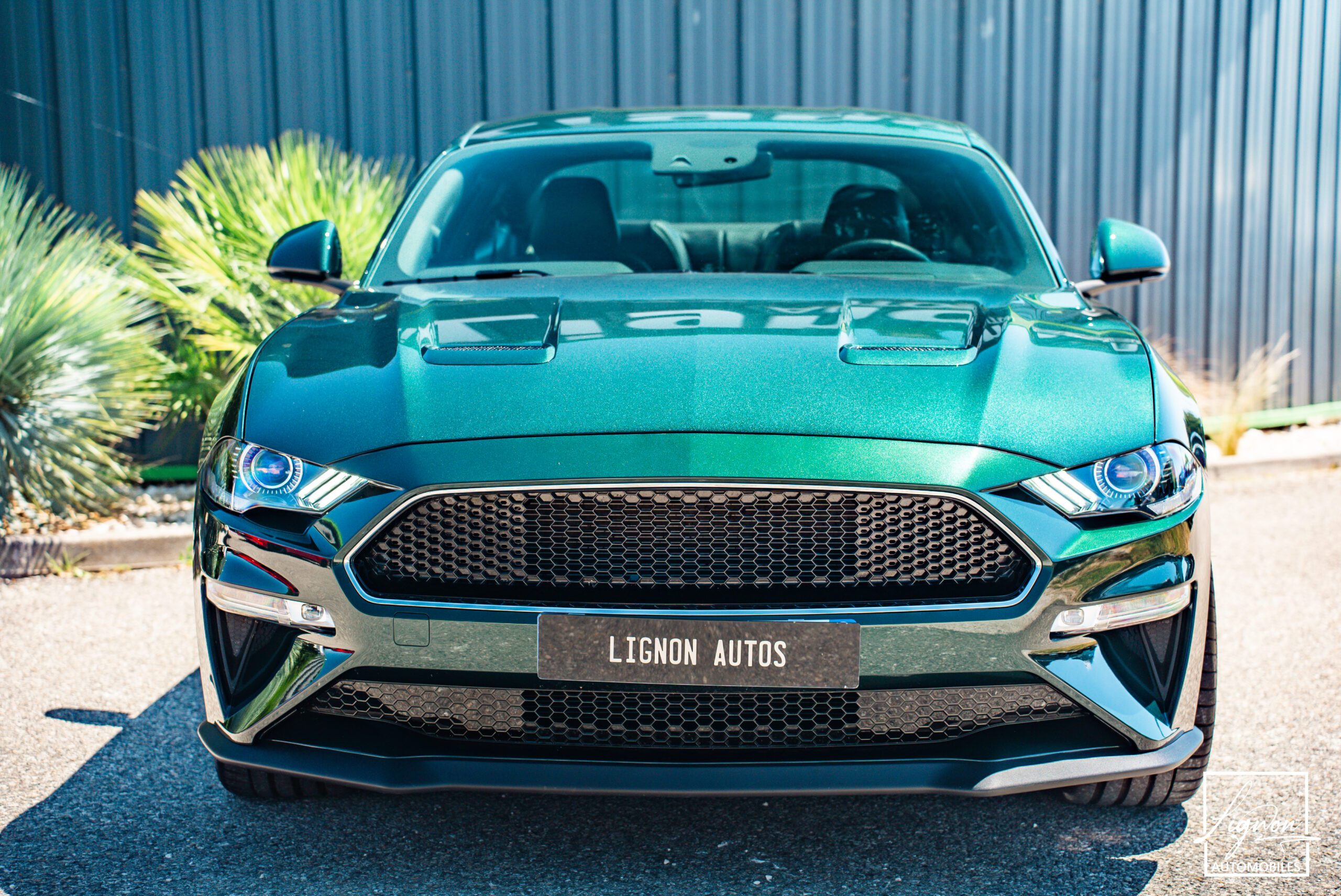 Photo Ford Mustang Bullitt GT 5.0 V8 460 ch