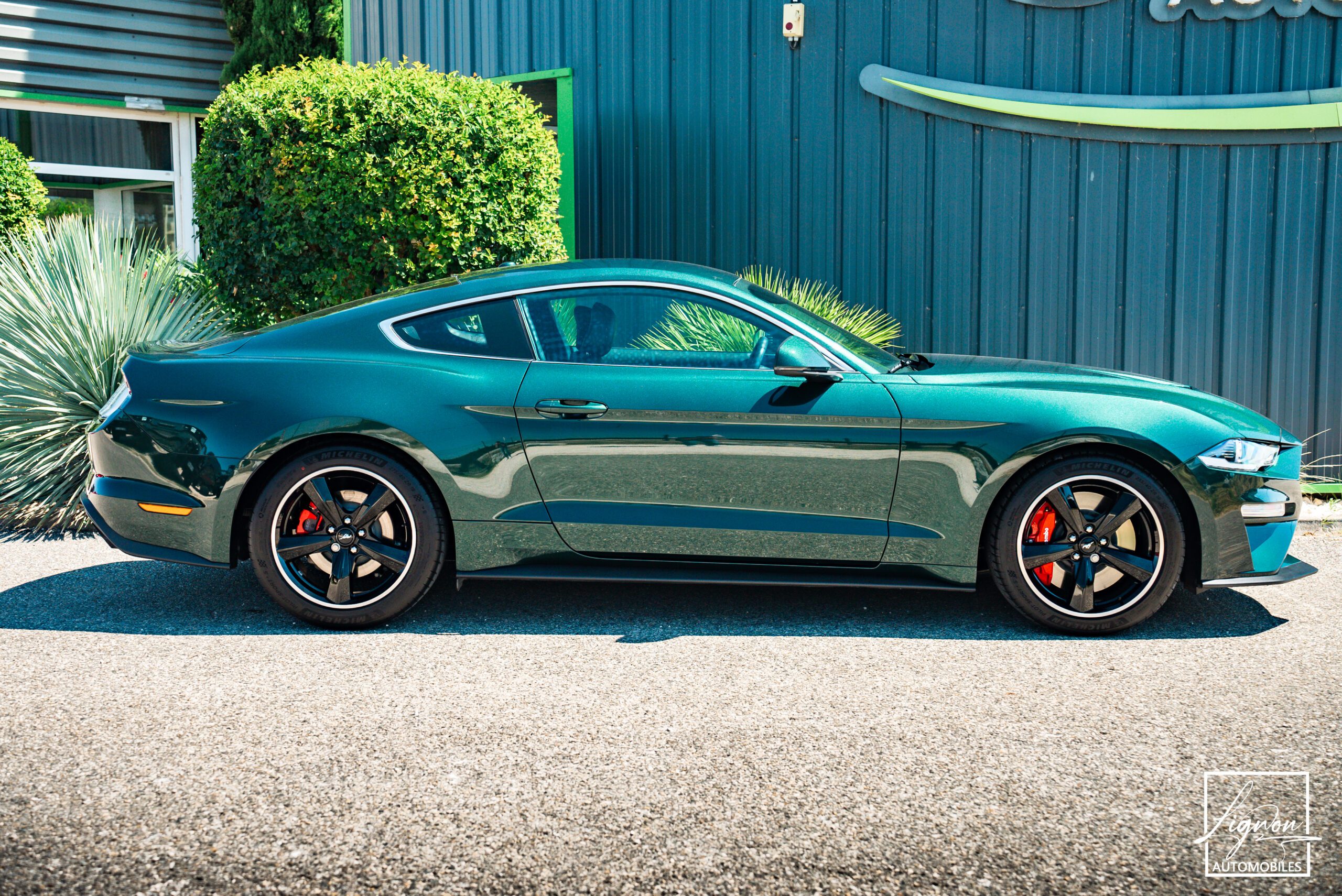 Photo Ford Mustang Bullitt GT 5.0 V8 460 ch