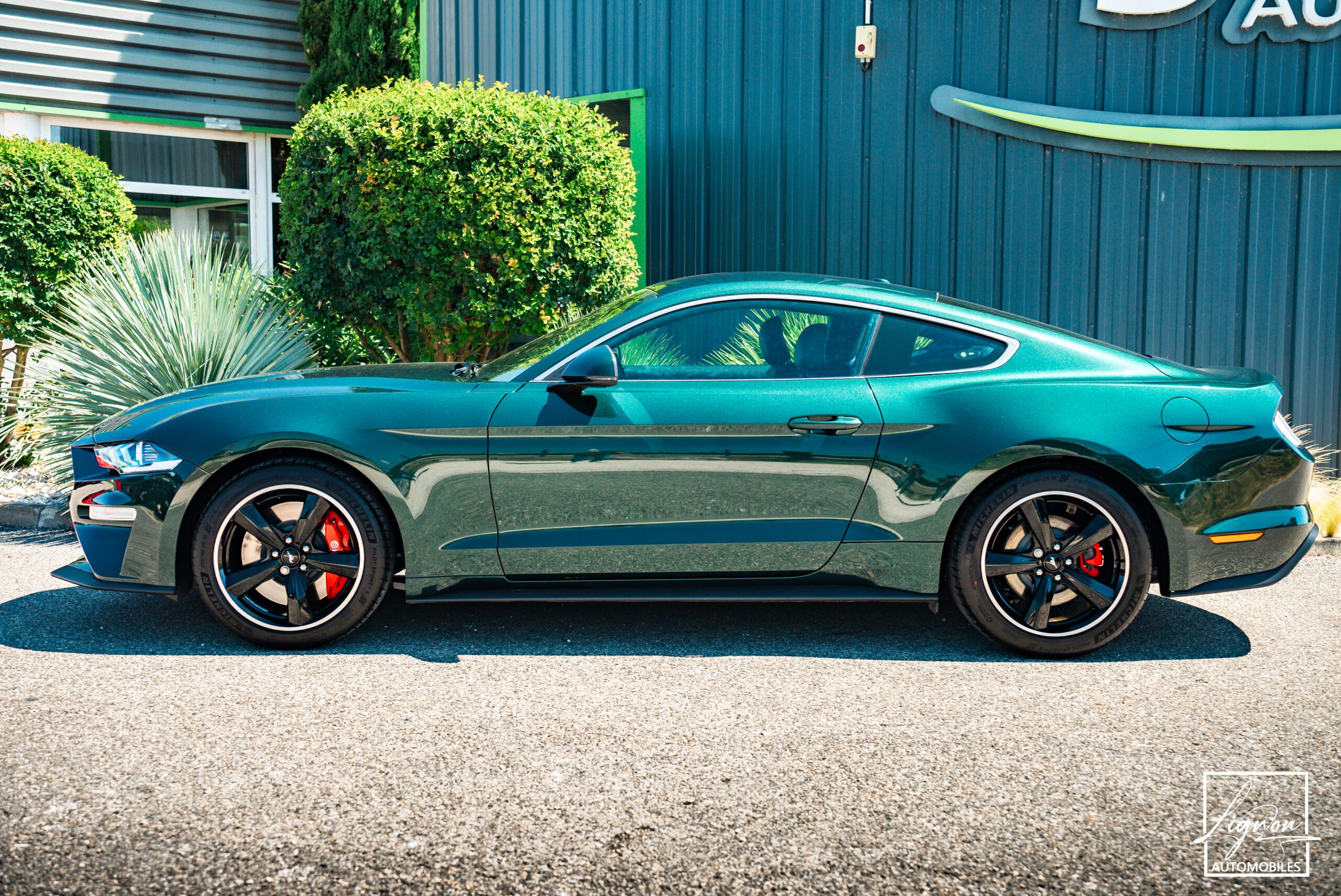 Photo Ford Mustang Bullitt GT 5.0 V8 460 ch