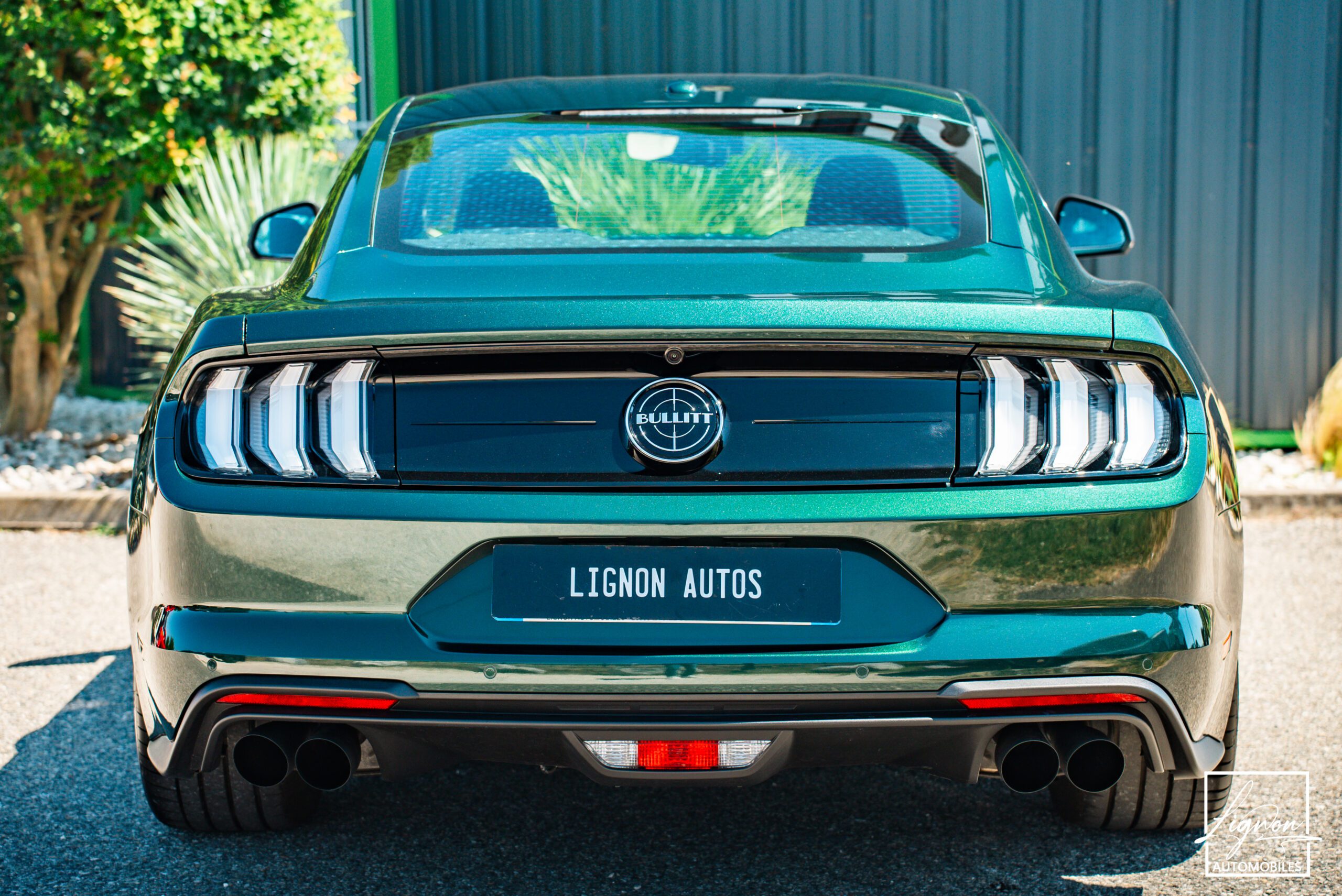 Photo Ford Mustang Bullitt GT 5.0 V8 460 ch