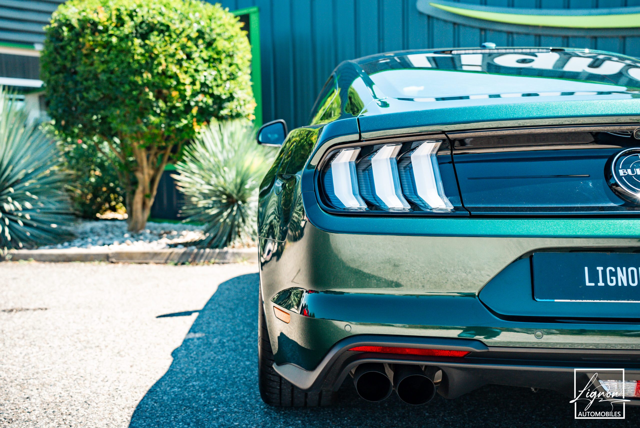 Photo Ford Mustang Bullitt GT 5.0 V8 460 ch
