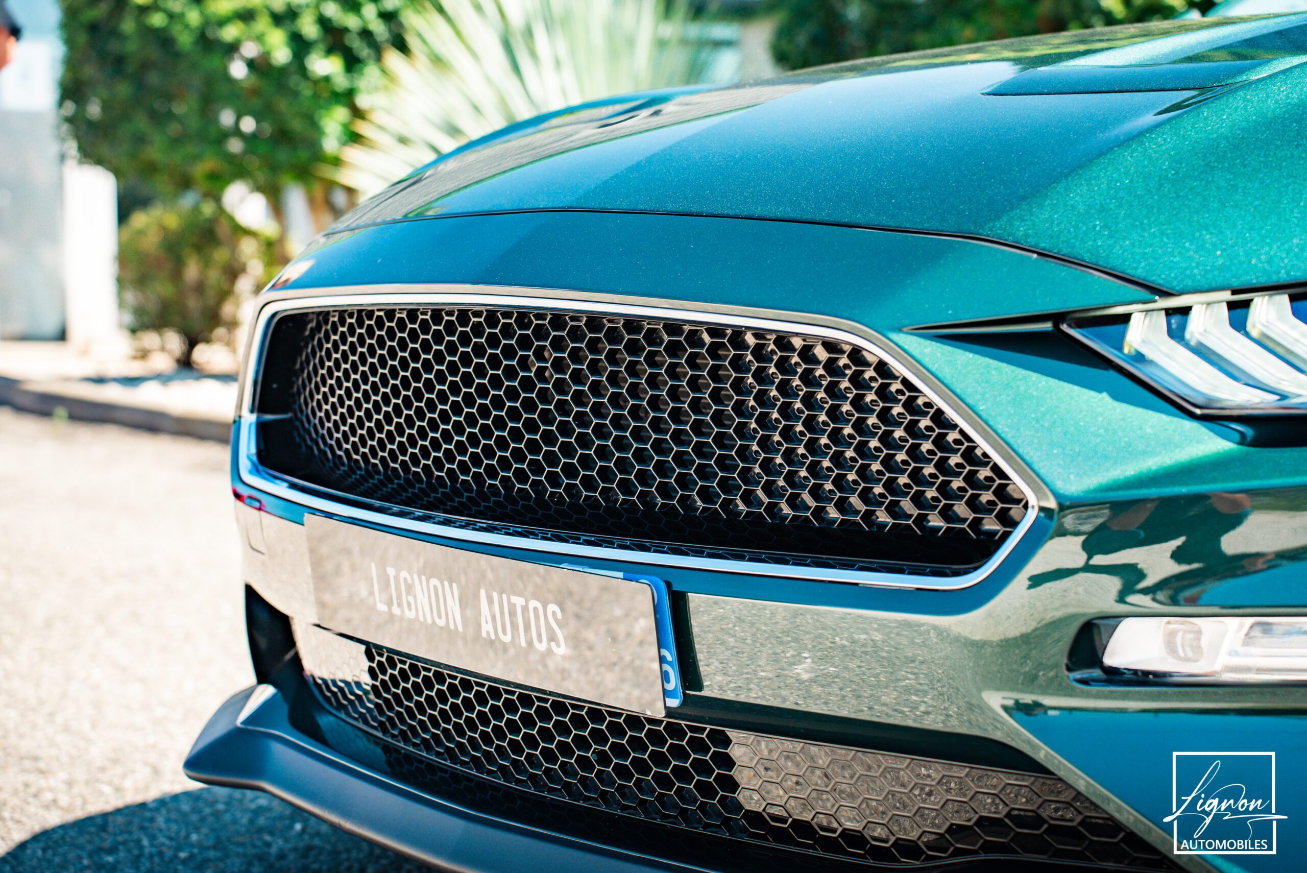 Photo Ford Mustang Bullitt GT 5.0 V8 460 ch