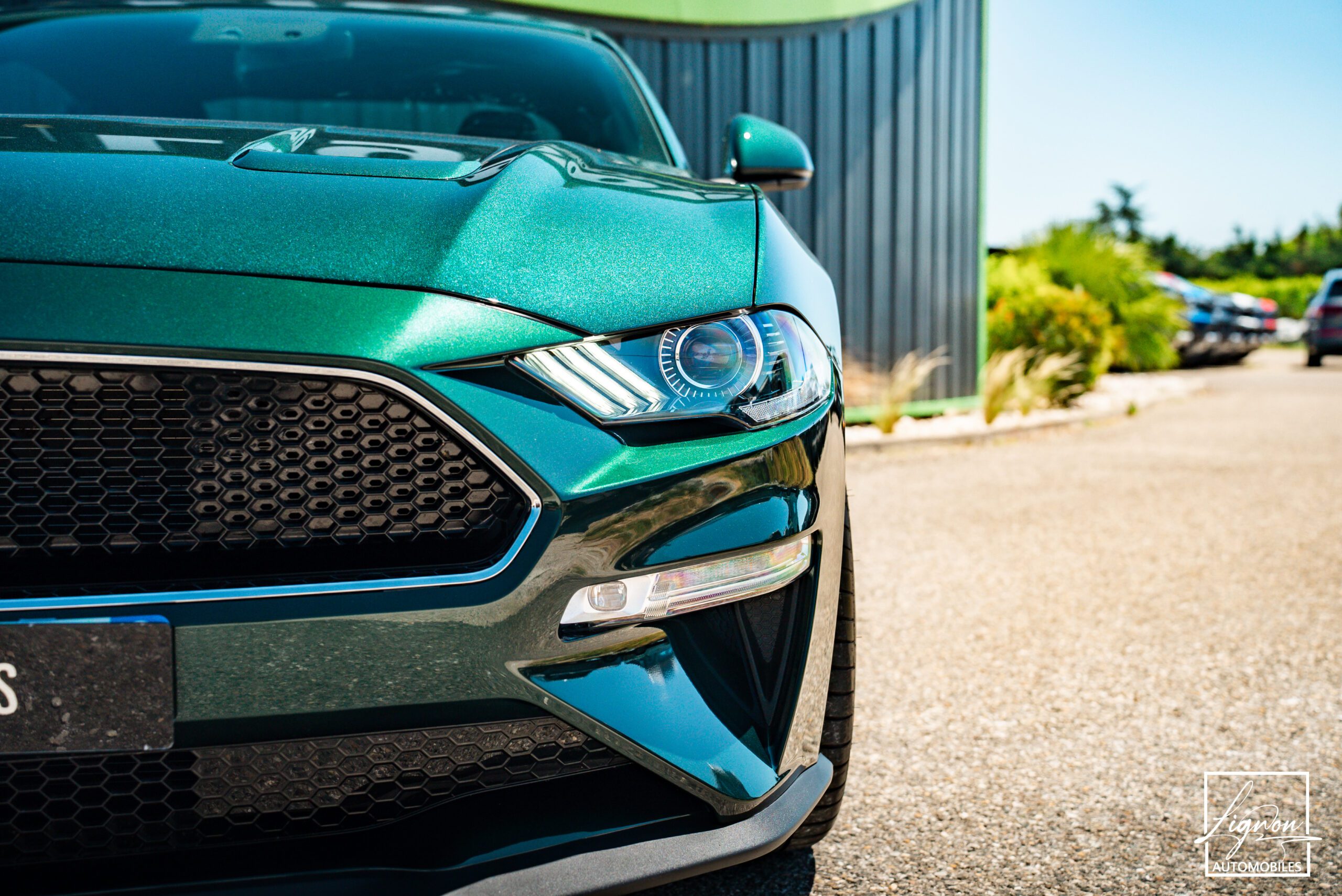 Photo Ford Mustang Bullitt GT 5.0 V8 460 ch