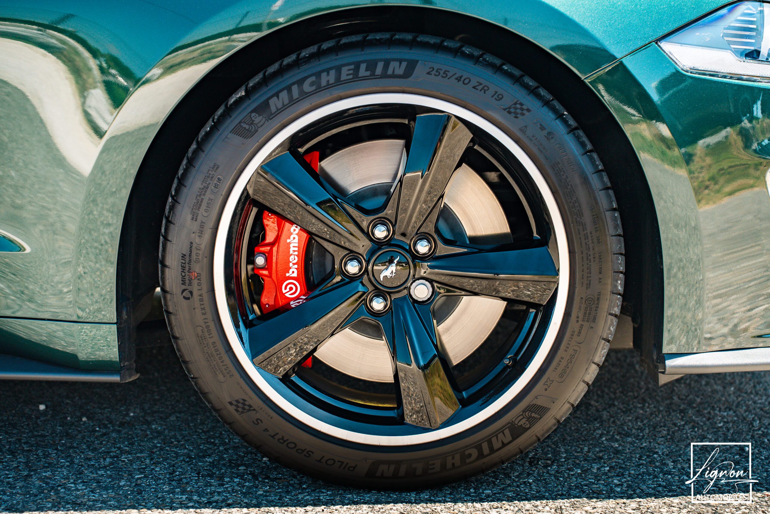 Photo Ford Mustang Bullitt GT 5.0 V8 460 ch