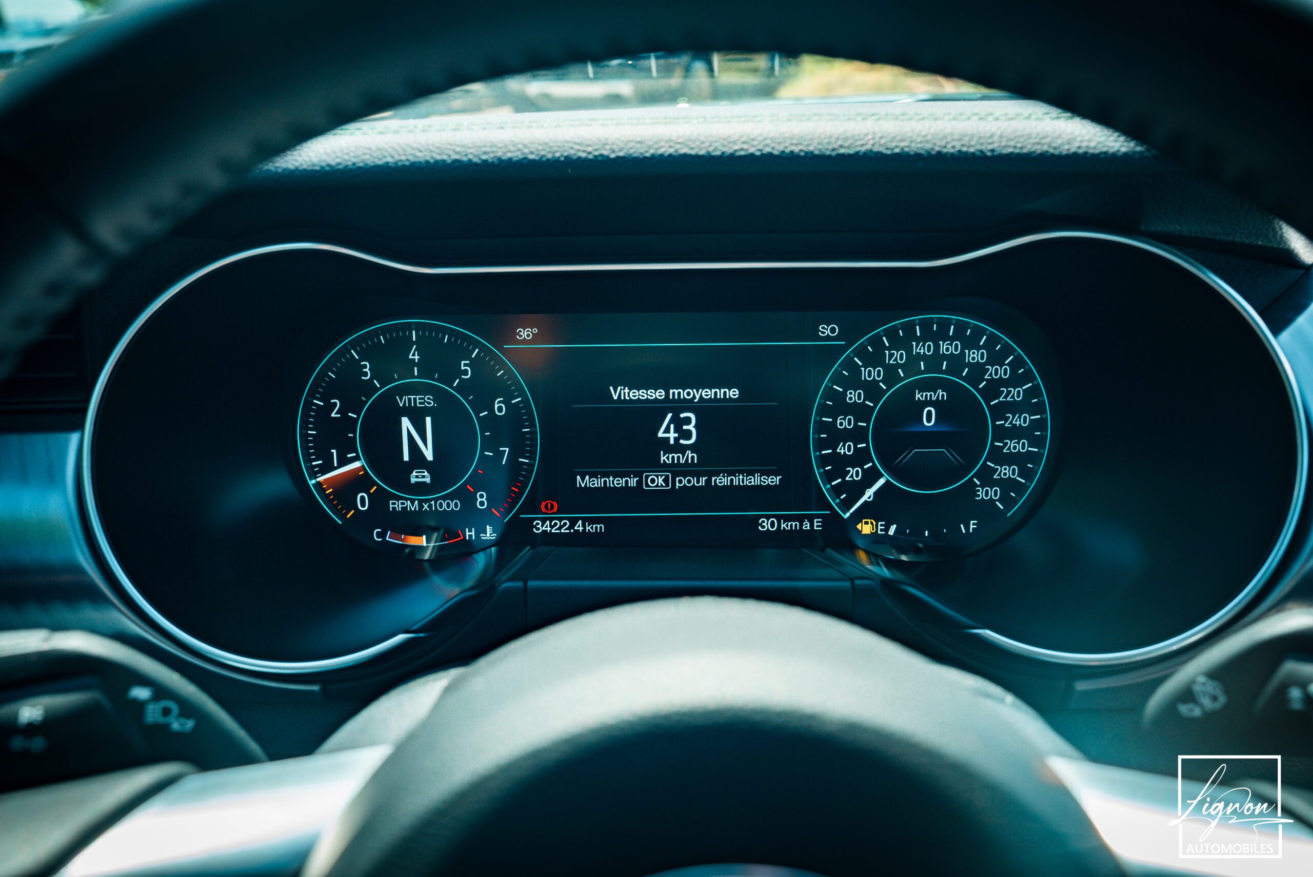 Photo Ford Mustang Bullitt GT 5.0 V8 460 ch