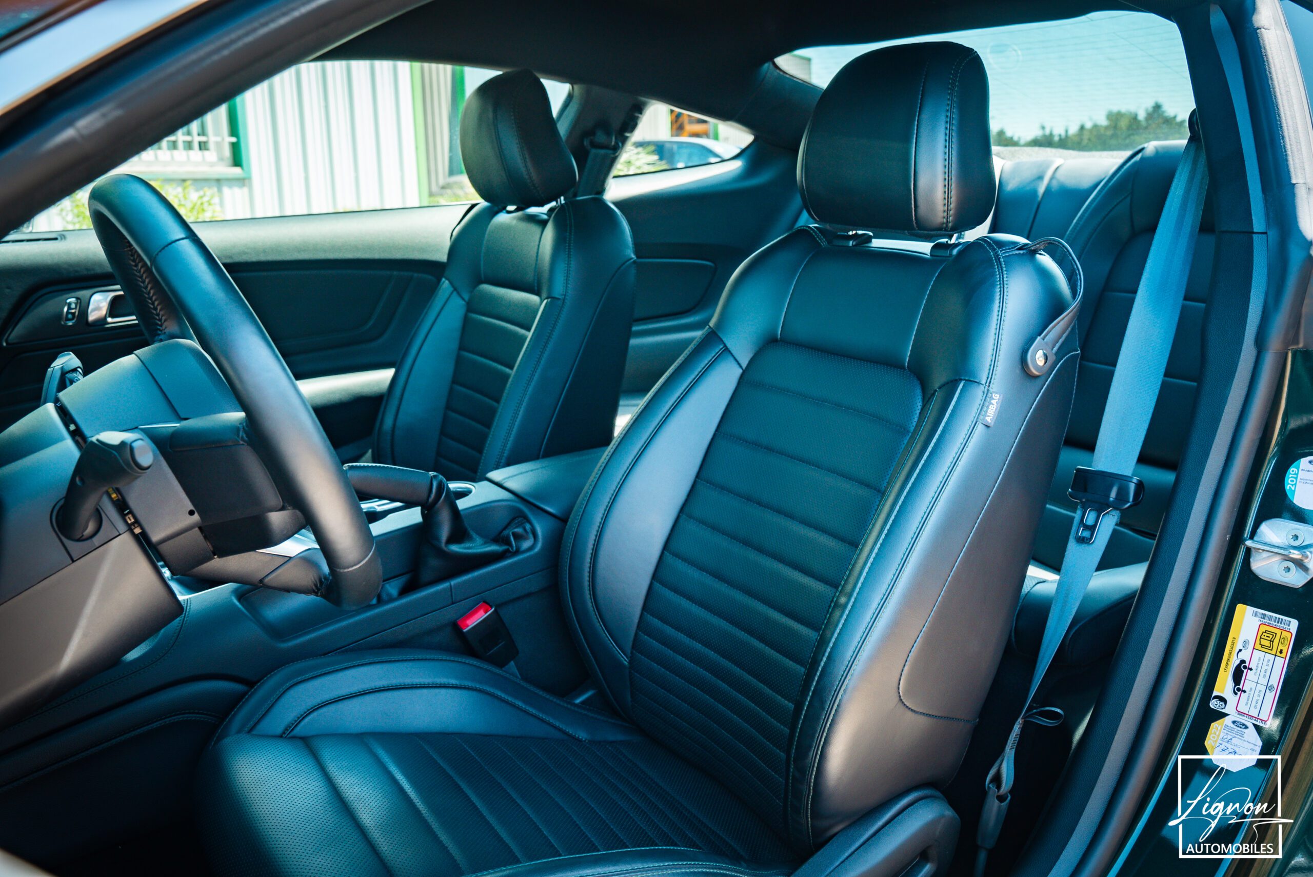 Photo Ford Mustang Bullitt GT 5.0 V8 460 ch