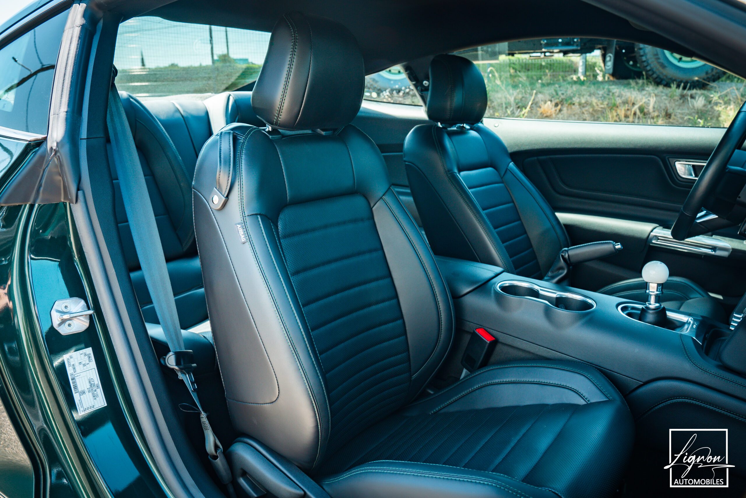 Photo Ford Mustang Bullitt GT 5.0 V8 460 ch