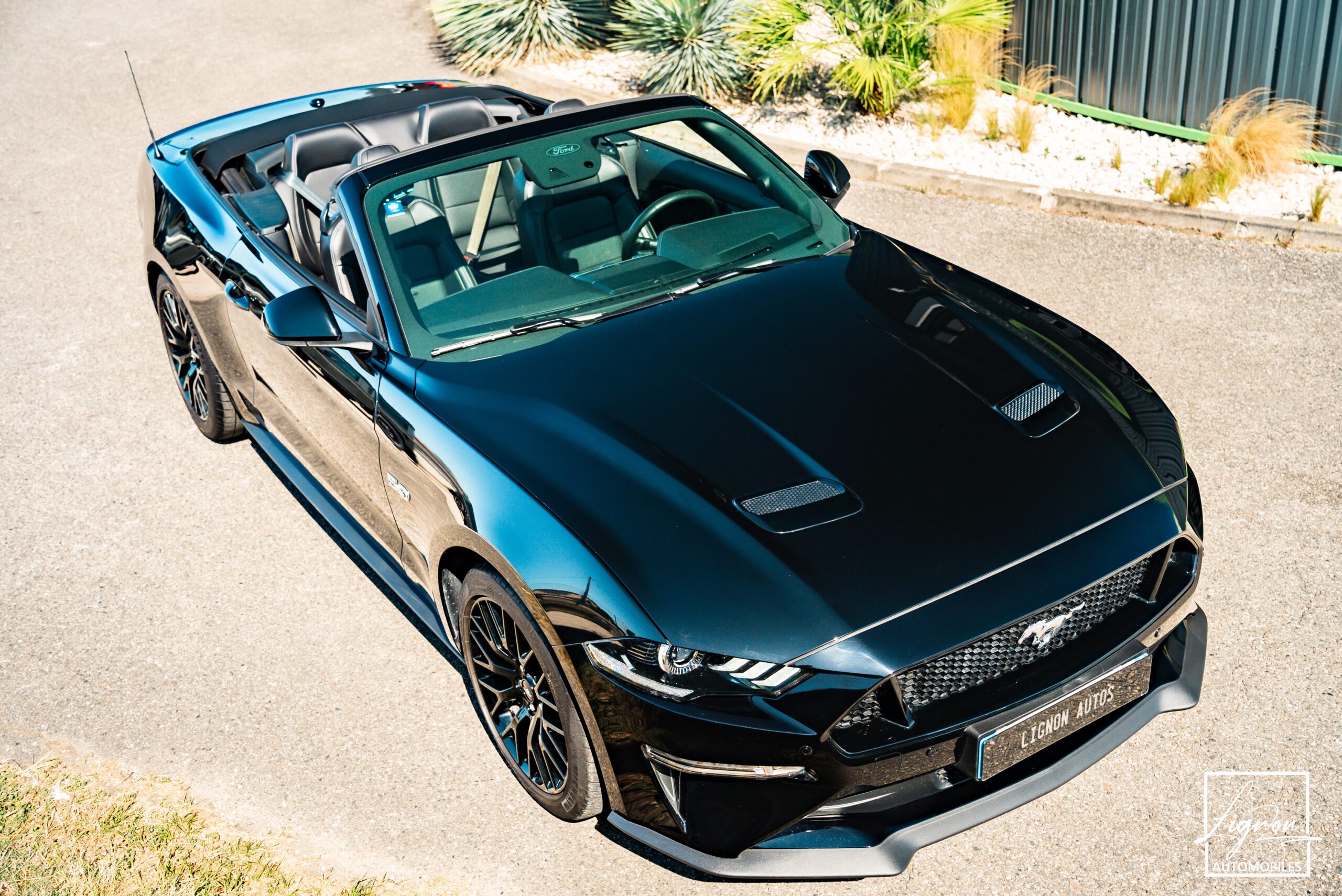 Photo Ford Mustang Cabriolet Gt 5.0l V8 450 Bva10 Premium