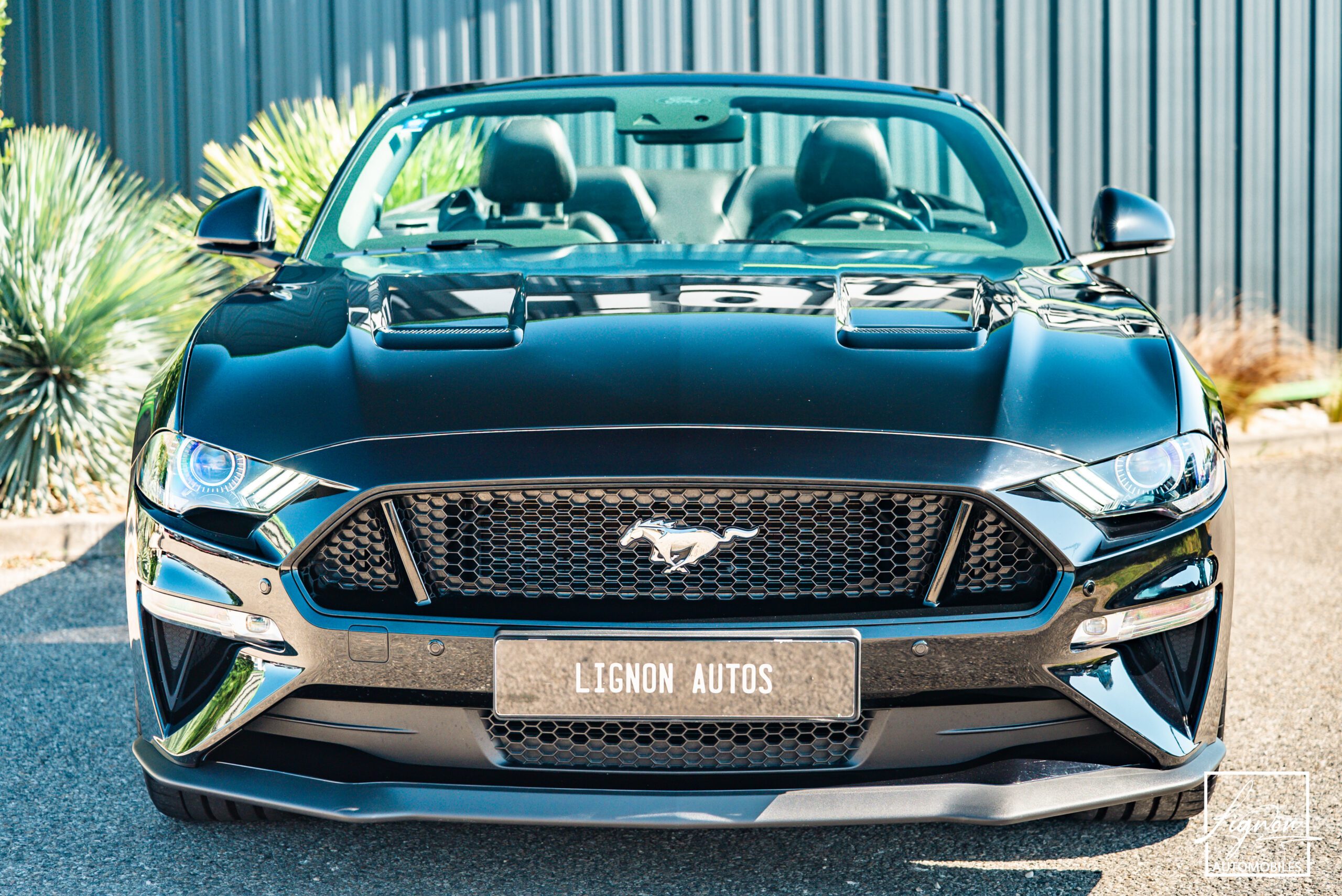 Photo Ford Mustang Cabriolet Gt 5.0l V8 450 Bva10 Premium