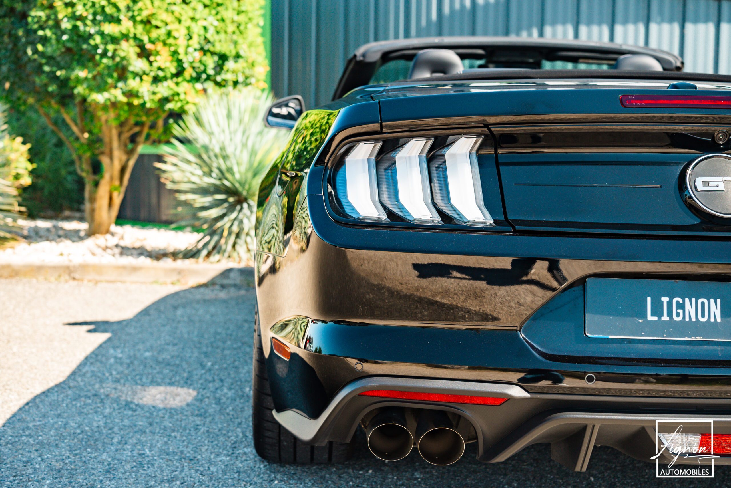 Photo Ford Mustang Cabriolet Gt 5.0l V8 450 Bva10 Premium