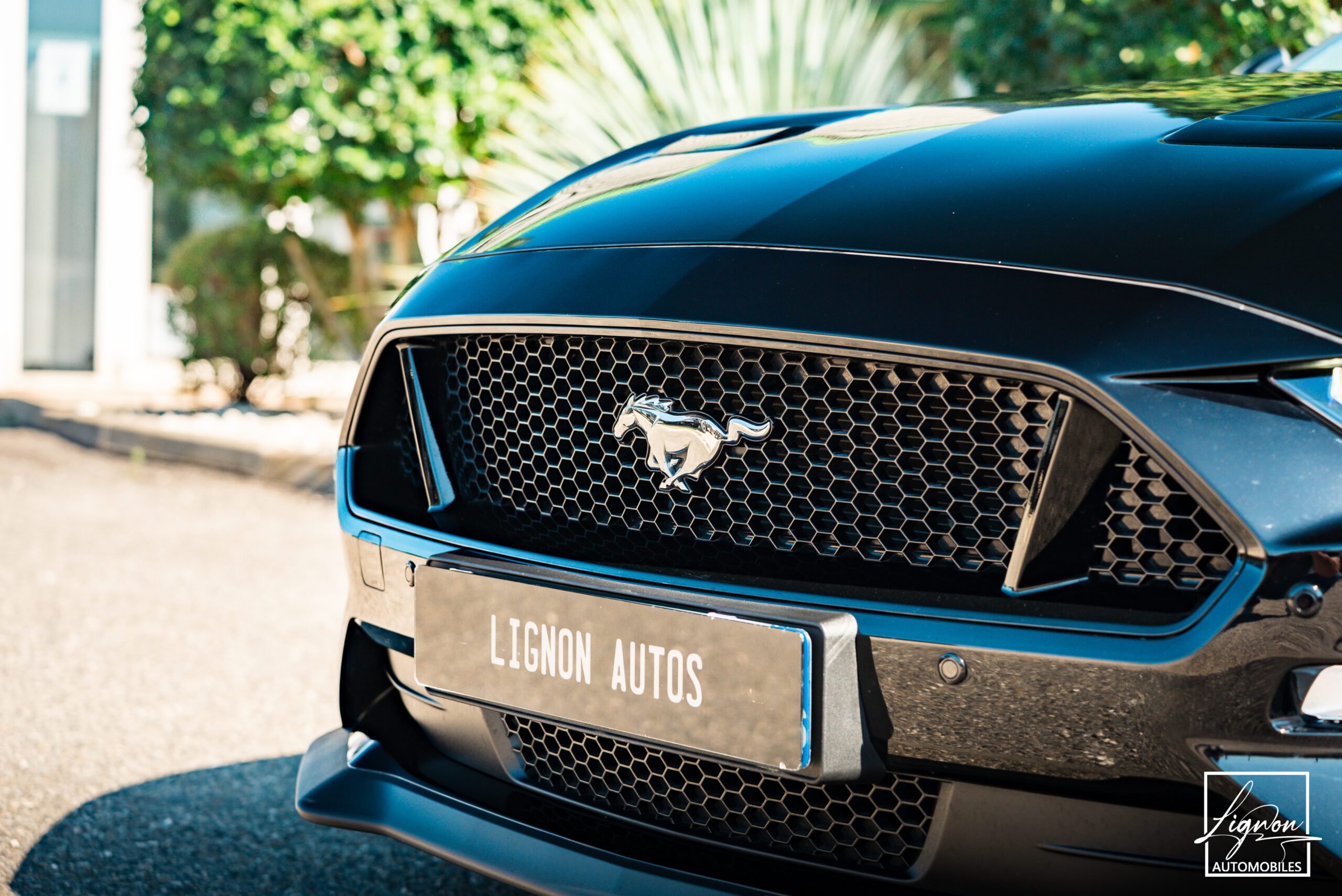 Photo Ford Mustang Cabriolet Gt 5.0l V8 450 Bva10 Premium