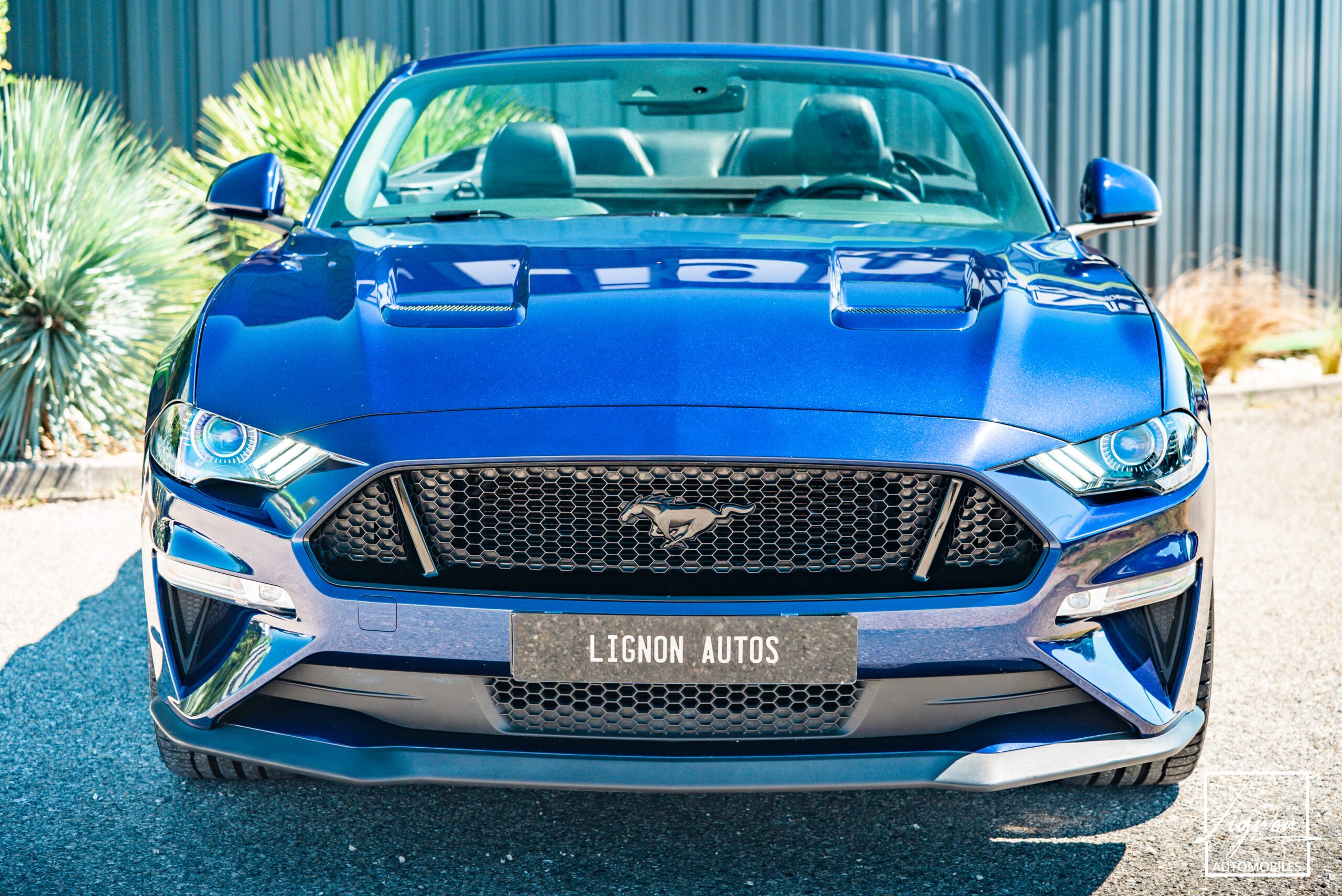 Photo Ford Mustang Cabriolet Gt 5.0l V8 450 BVM6 Premium
