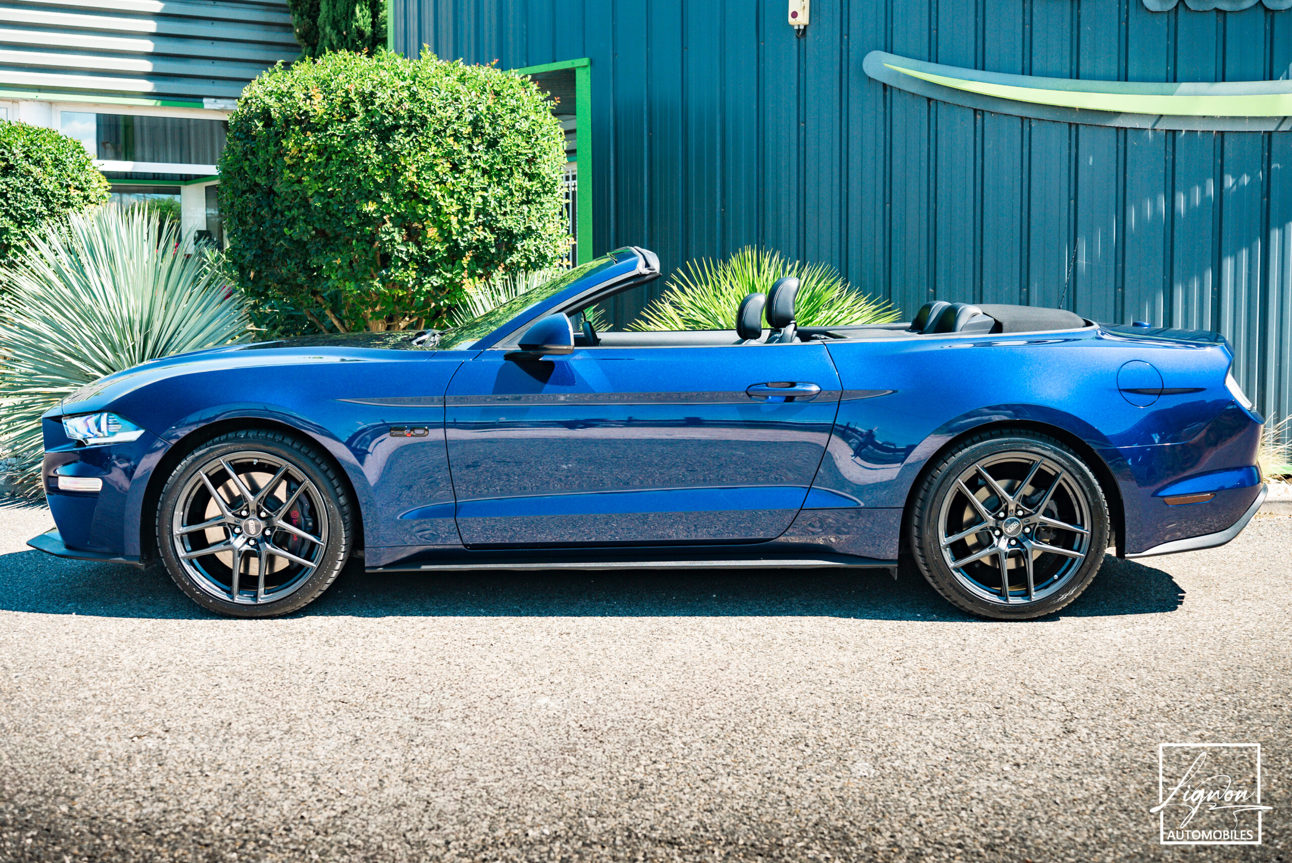 Photo Ford Mustang Cabriolet Gt 5.0l V8 450 BVM6 Premium