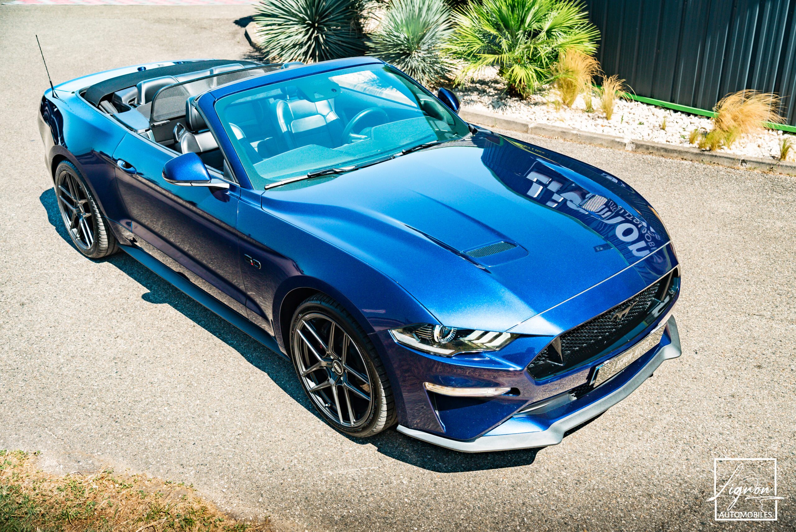 Photo Ford Mustang Cabriolet Gt 5.0l V8 450 BVM6 Premium