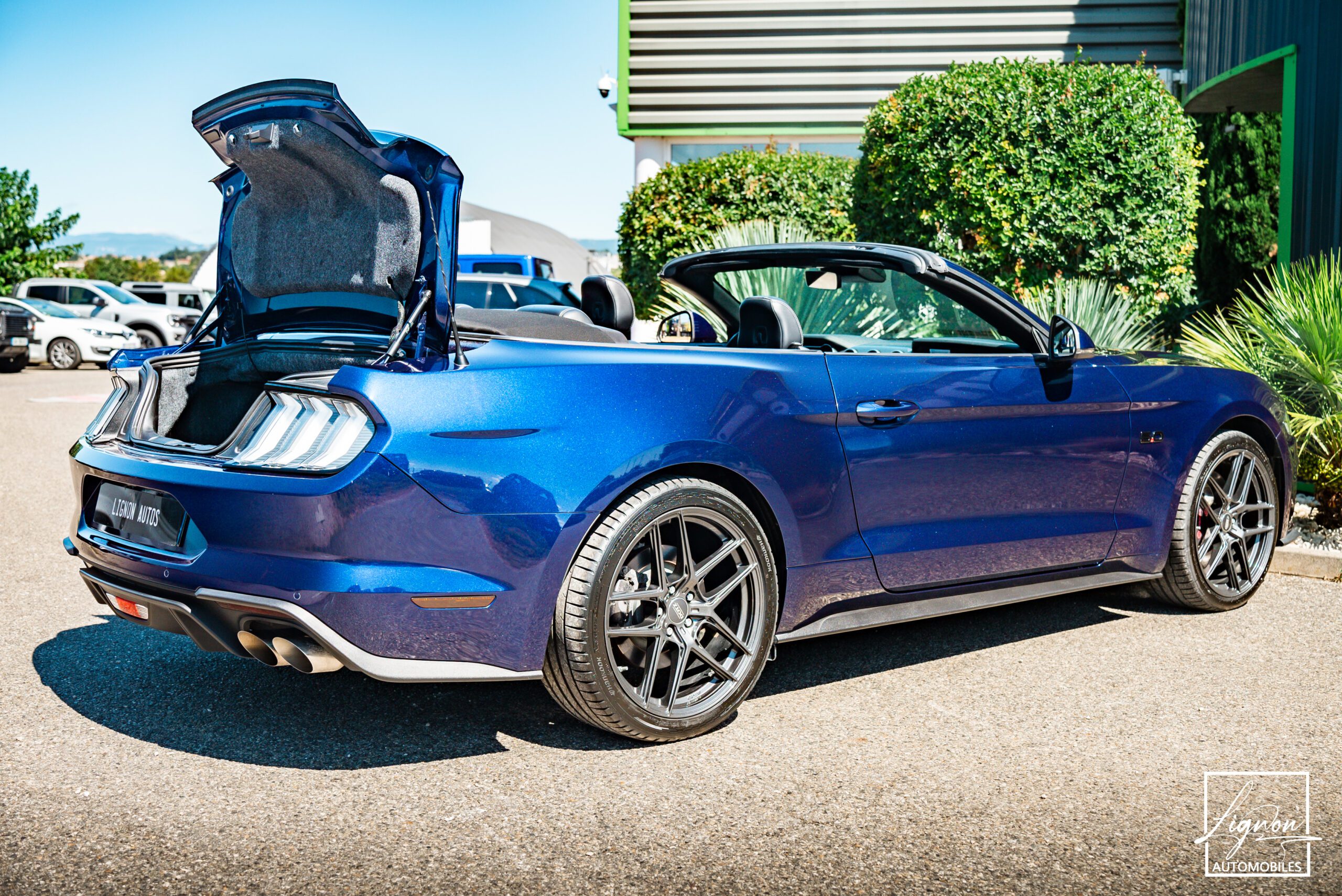 Photo Ford Mustang Cabriolet Gt 5.0l V8 450 BVM6 Premium