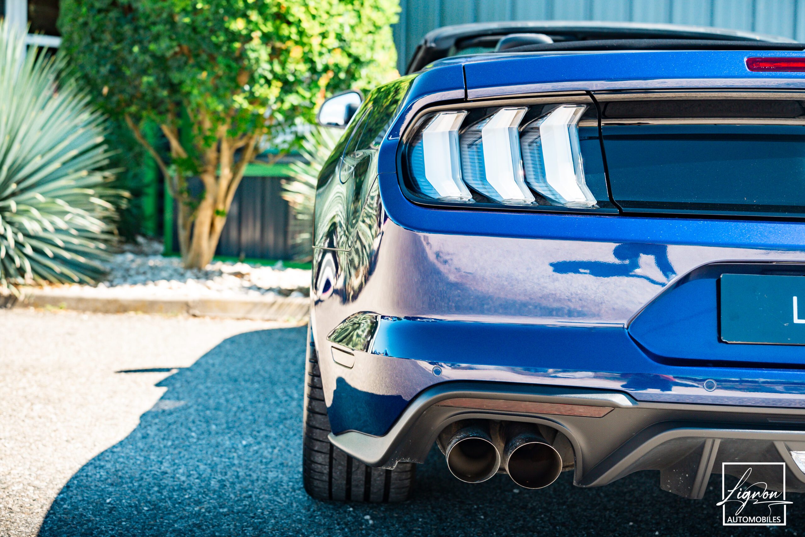 Photo Ford Mustang Cabriolet Gt 5.0l V8 450 BVM6 Premium
