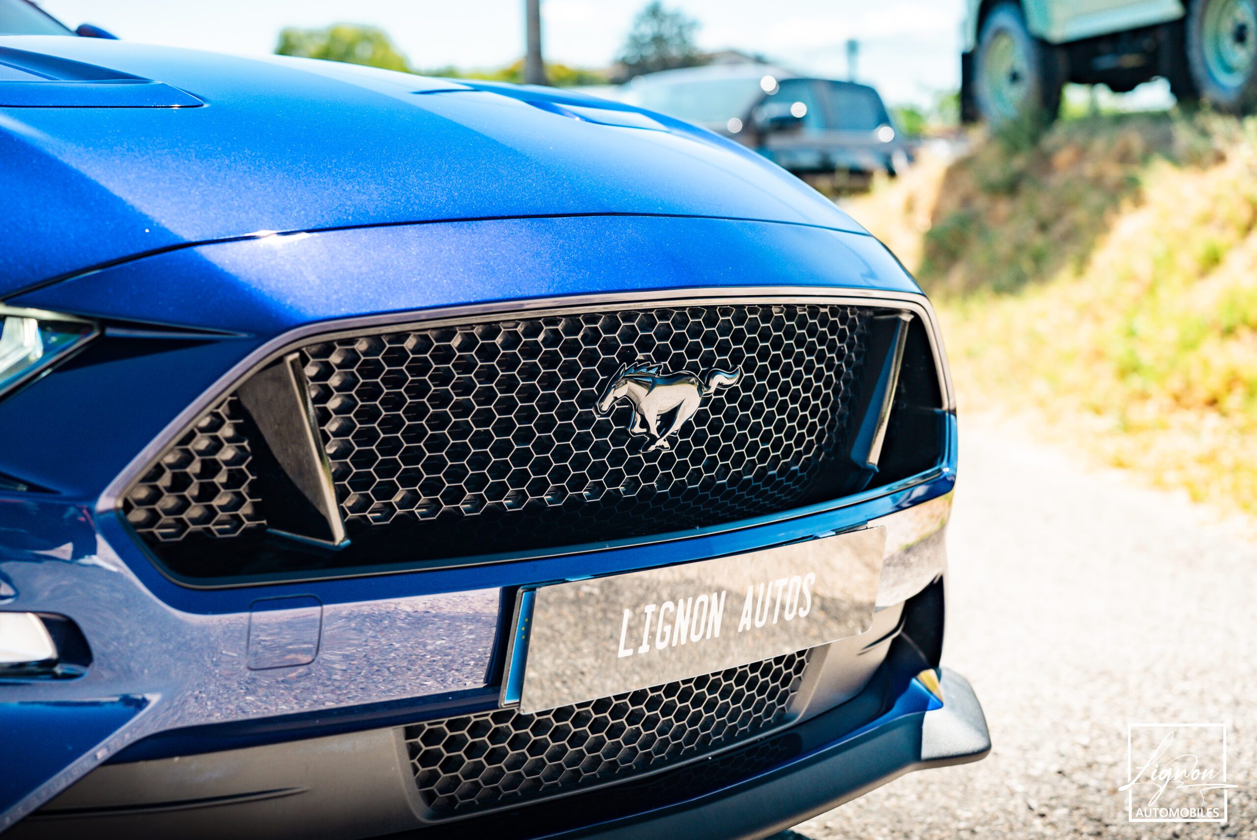 Photo Ford Mustang Cabriolet Gt 5.0l V8 450 BVM6 Premium