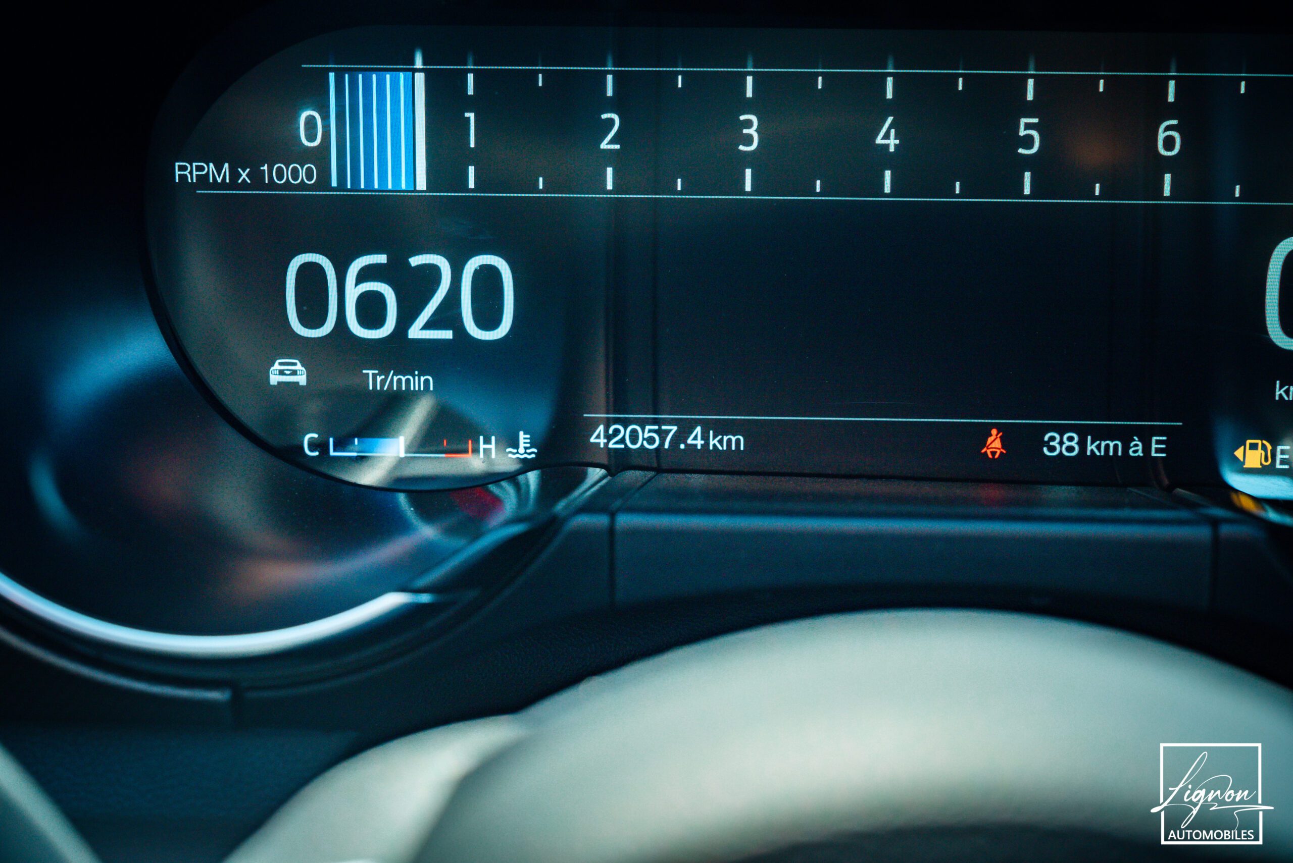Photo Ford Mustang Cabriolet Gt 5.0l V8 450 BVM6 Premium