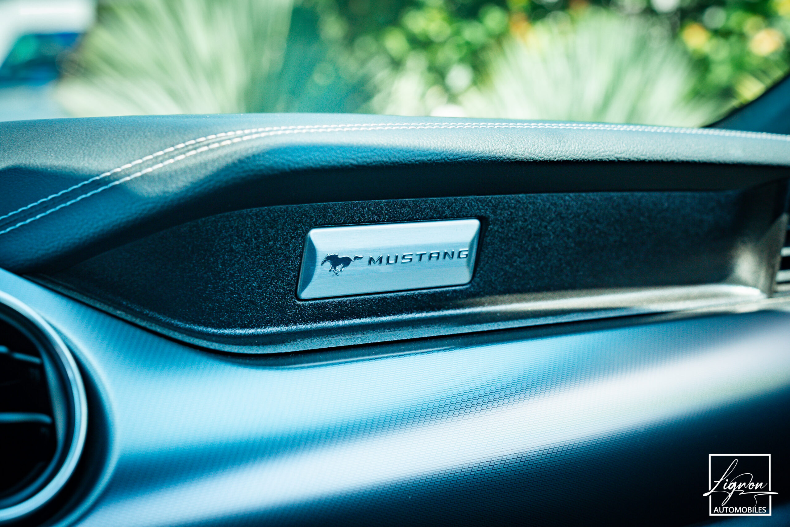 Photo Ford Mustang Cabriolet Gt 5.0l V8 450 BVM6 Premium