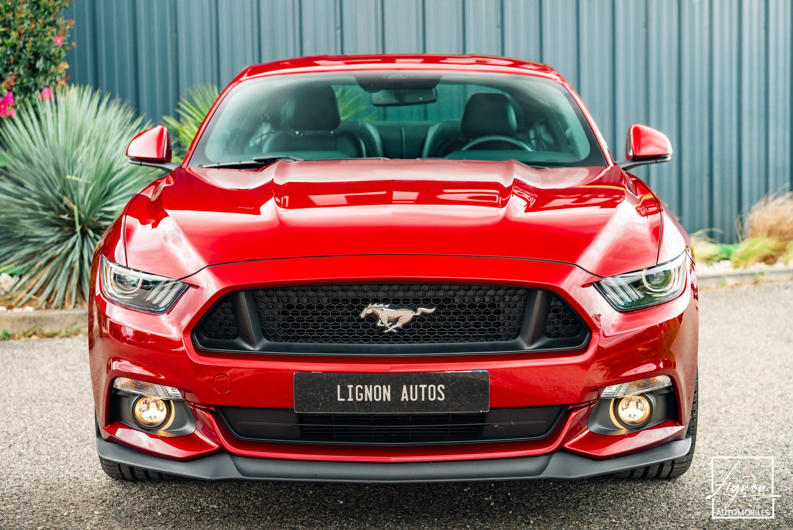 Photo Ford Mustang Fastback 5.0 v8 GT 421 ch BVM6 - Échapp. REMUS à clapets