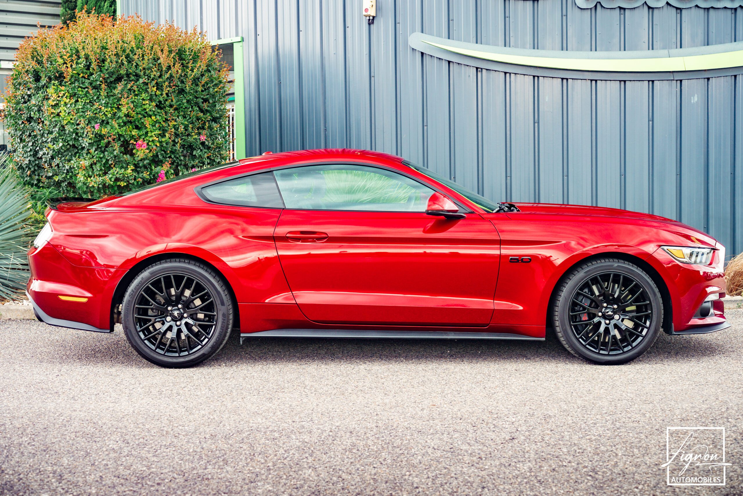 Photo Ford Mustang Fastback 5.0 v8 GT 421 ch BVM6 - Échapp. REMUS à clapets