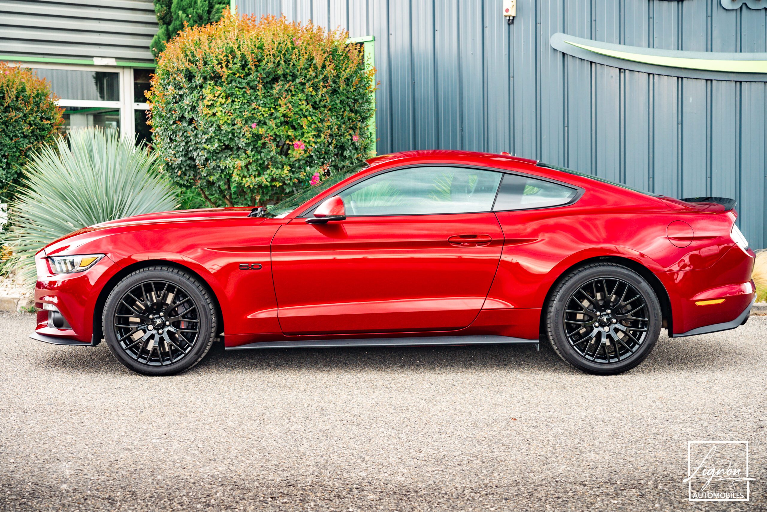 Photo Ford Mustang Fastback 5.0 v8 GT 421 ch BVM6 - Échapp. REMUS à clapets