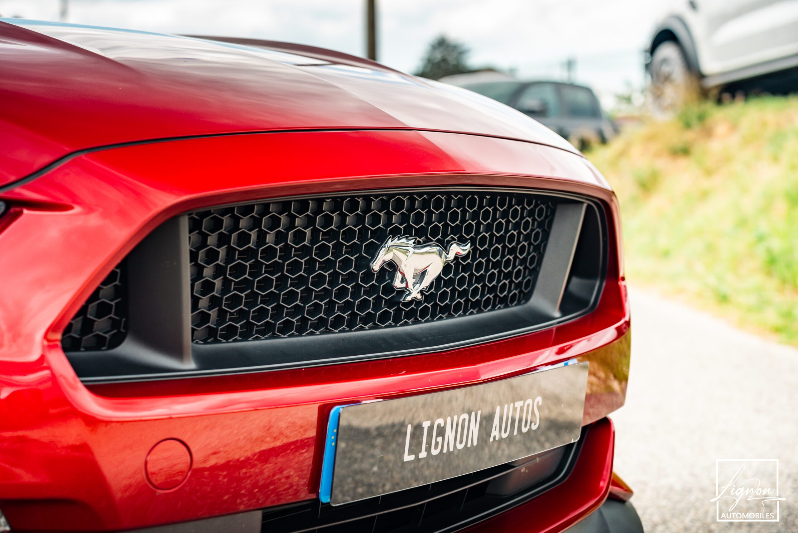 Photo Ford Mustang Fastback 5.0 v8 GT 421 ch BVM6 - Échapp. REMUS à clapets