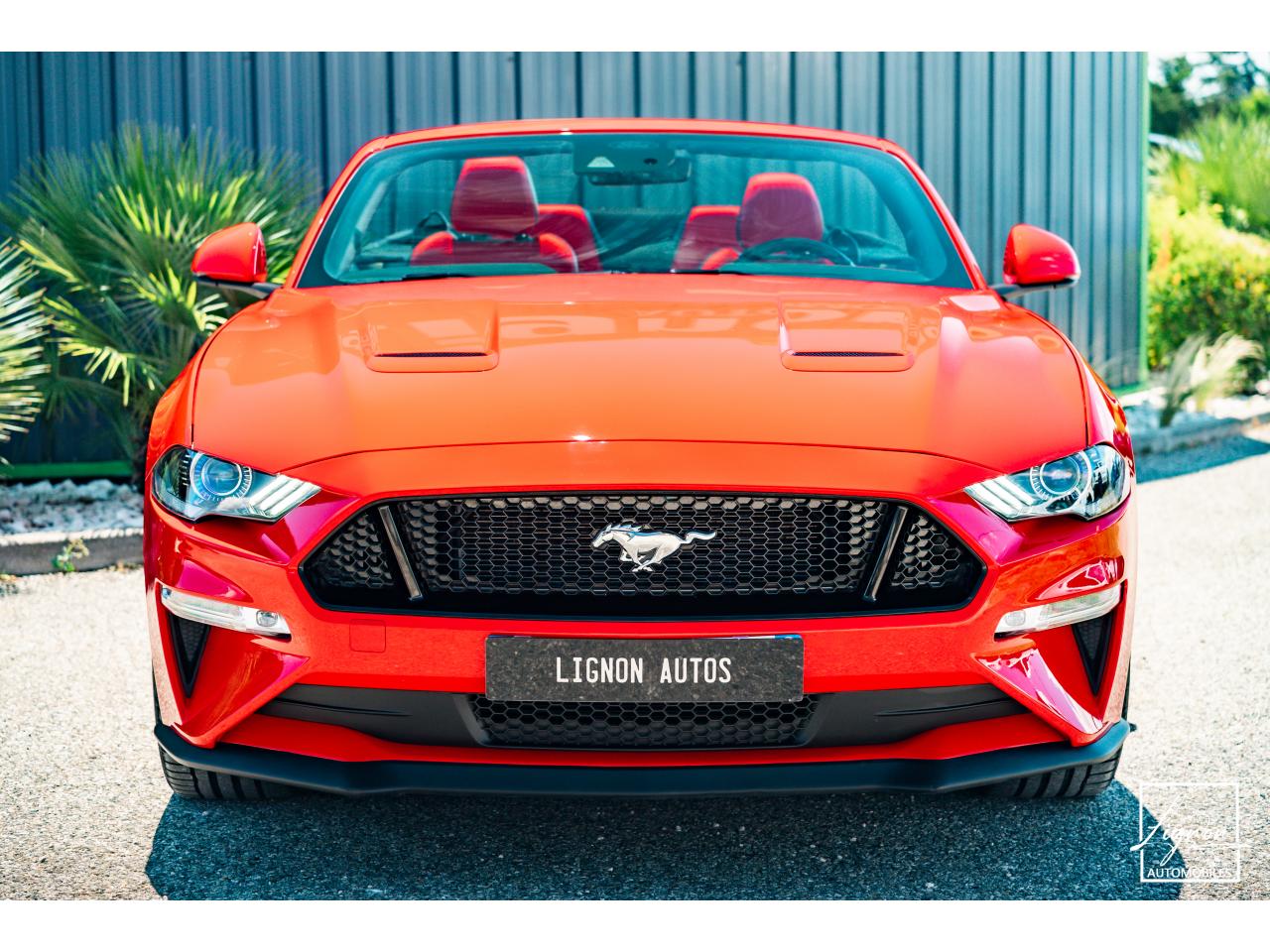 Photo FORD MUSTANG Cabriolet Gt 5.0l V8 450 BVA10 Premium - à partir de 683 euros