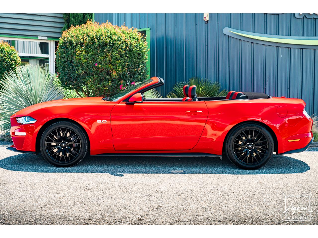 Photo FORD MUSTANG Cabriolet Gt 5.0l V8 450 BVA10 Premium - à partir de 683 euros