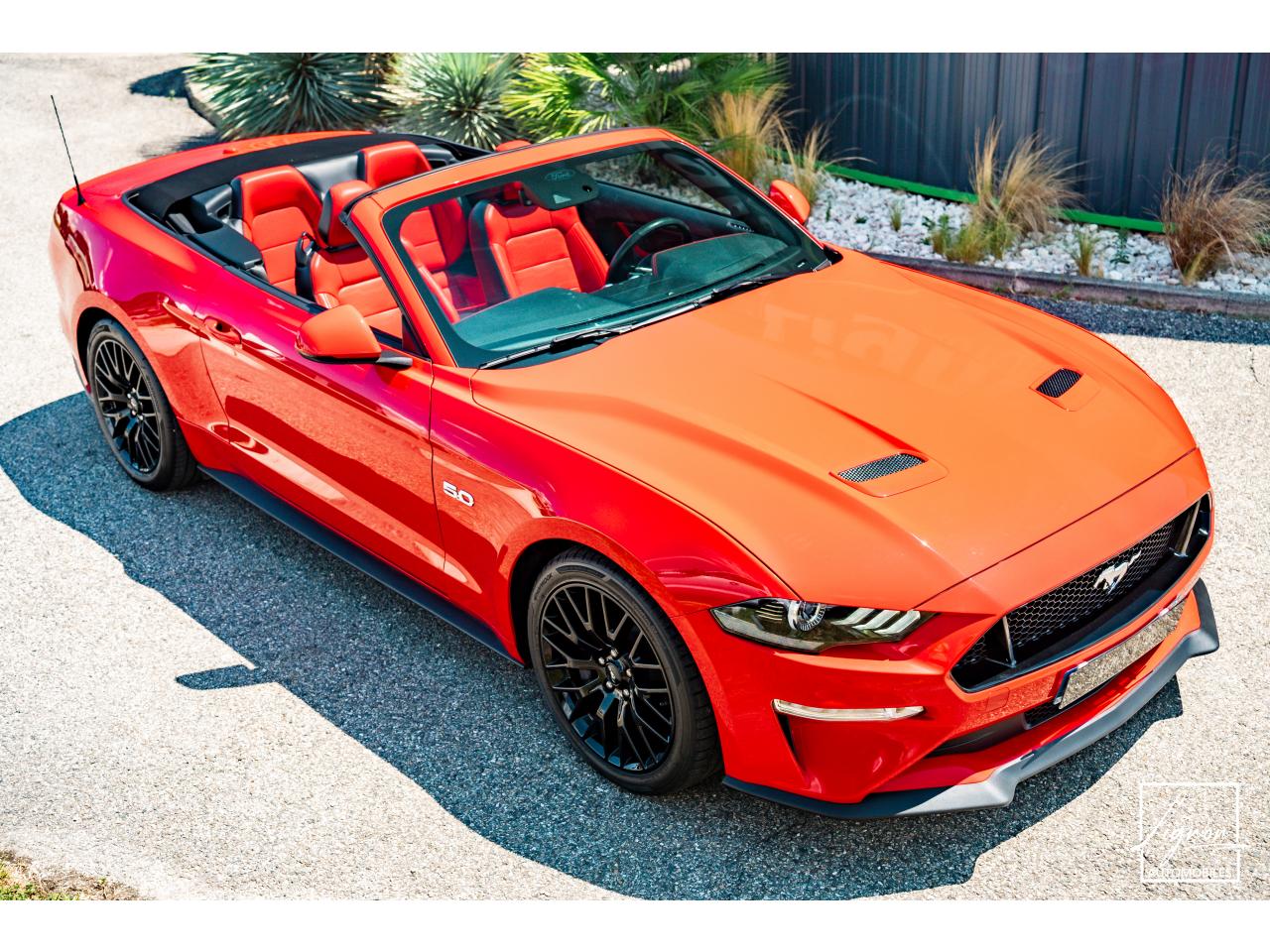 Photo FORD MUSTANG Cabriolet Gt 5.0l V8 450 BVA10 Premium - à partir de 683 euros