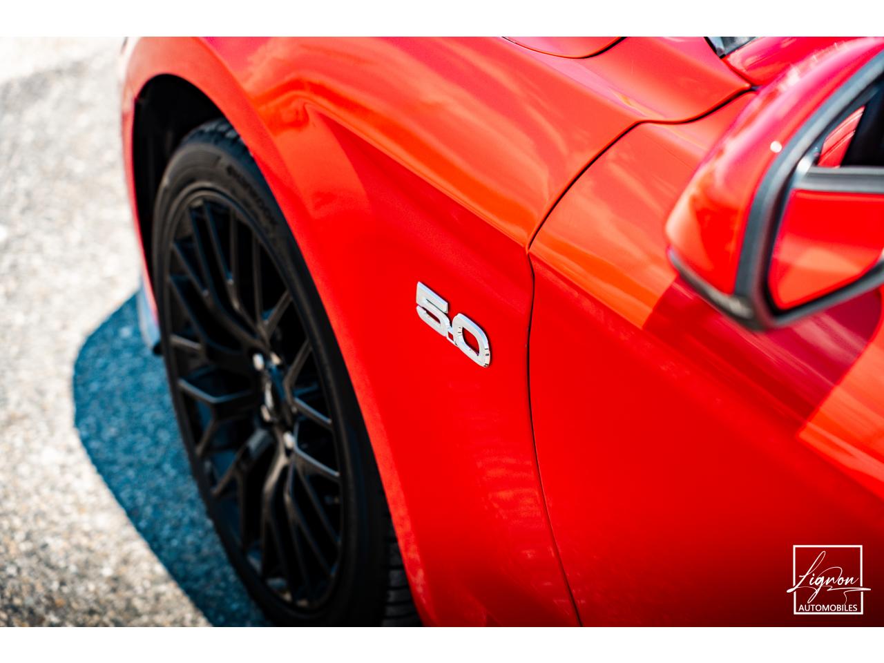 Photo FORD MUSTANG Cabriolet Gt 5.0l V8 450 BVA10 Premium - à partir de 683 euros