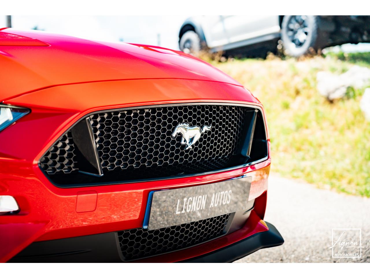 Photo FORD MUSTANG Cabriolet Gt 5.0l V8 450 BVA10 Premium - à partir de 683 euros