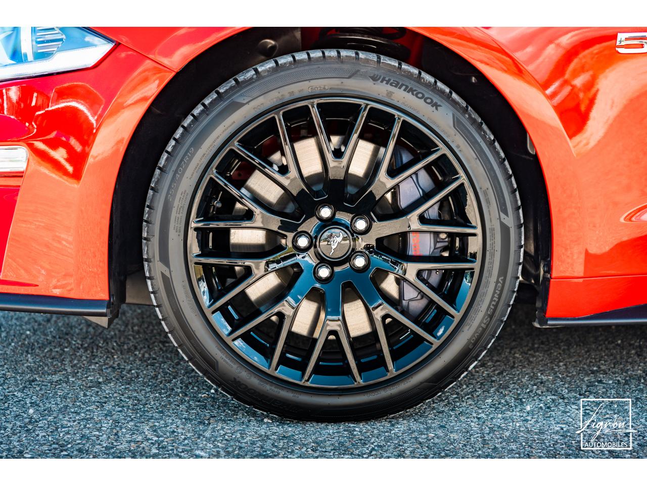 Photo FORD MUSTANG Cabriolet Gt 5.0l V8 450 BVA10 Premium - à partir de 683 euros