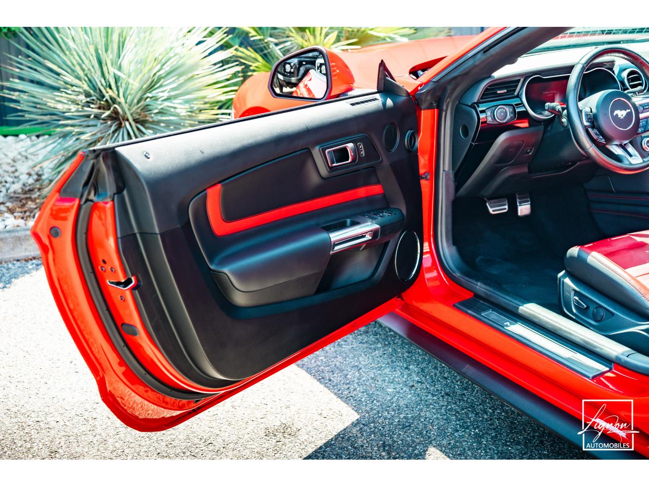 Photo FORD MUSTANG Cabriolet Gt 5.0l V8 450 BVA10 Premium - à partir de 683 euros