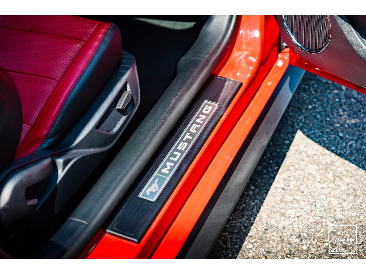 Photo FORD MUSTANG Cabriolet Gt 5.0l V8 450 BVA10 Premium - à partir de 683 euros