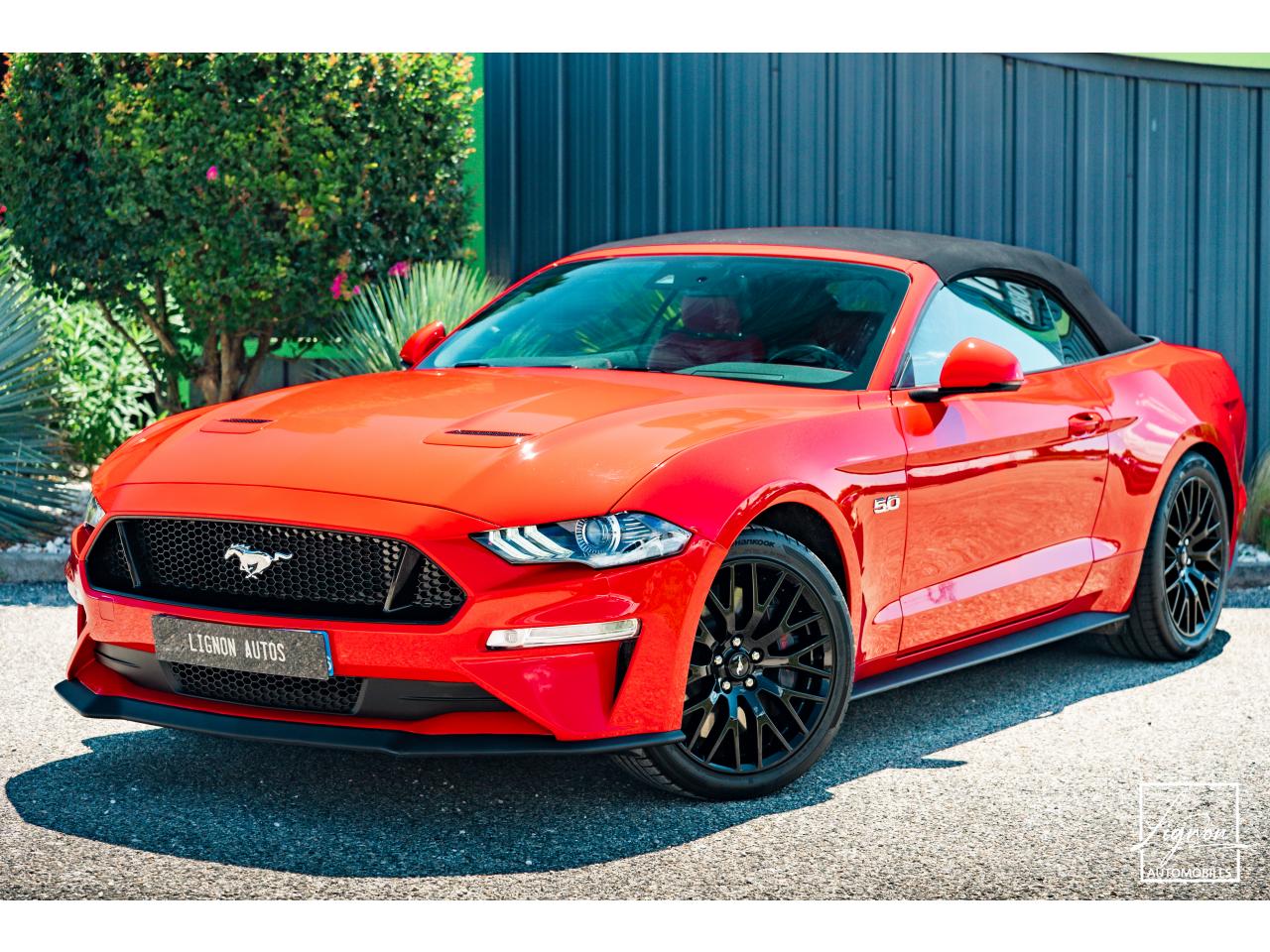 Photo FORD MUSTANG Cabriolet Gt 5.0l V8 450 BVA10 Premium - à partir de 683 euros