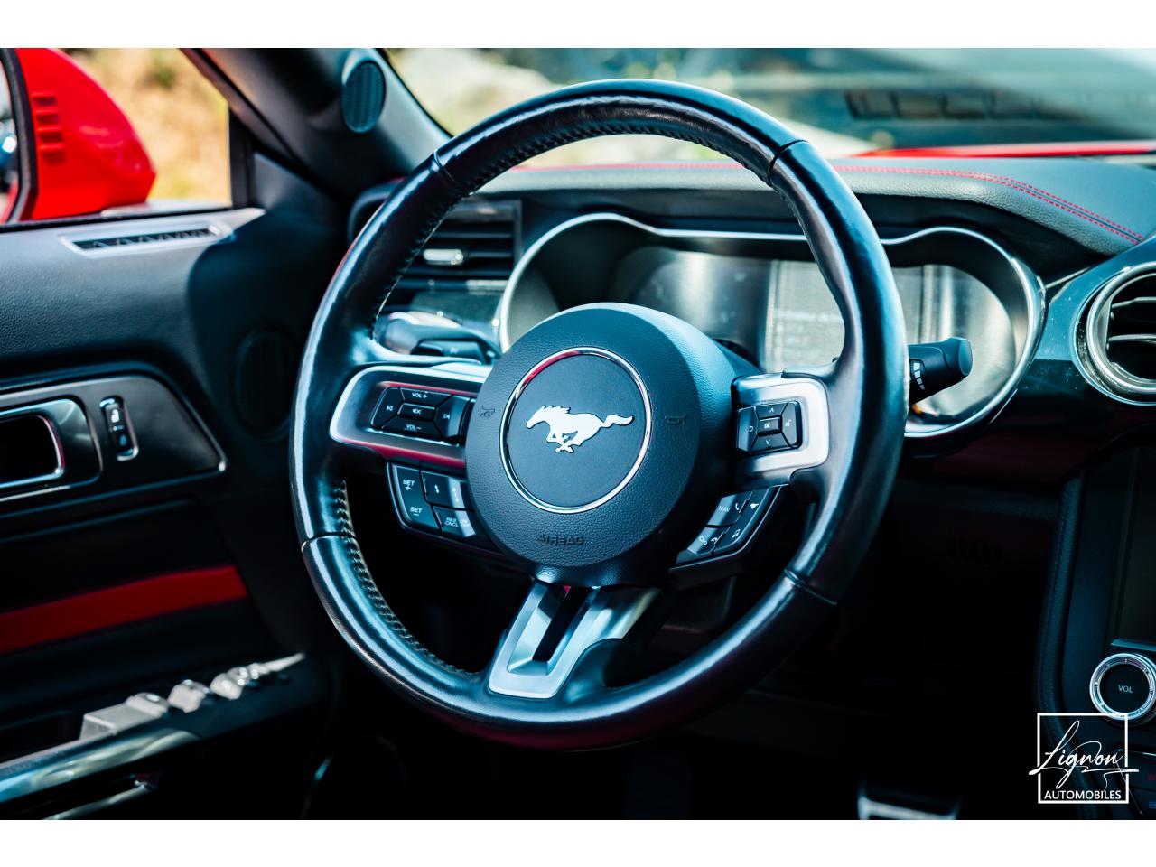 Photo FORD MUSTANG Cabriolet Gt 5.0l V8 450 BVA10 Premium - à partir de 683 euros