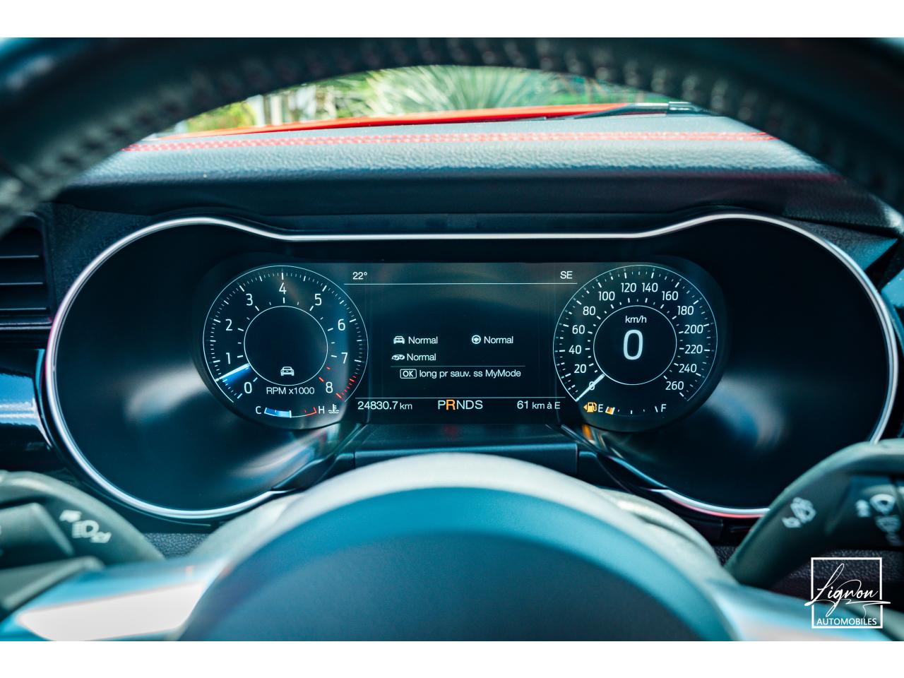 Photo FORD MUSTANG Cabriolet Gt 5.0l V8 450 BVA10 Premium - à partir de 683 euros
