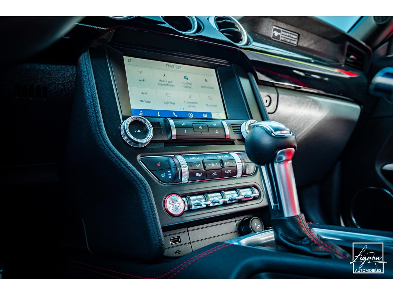 Photo FORD MUSTANG Cabriolet Gt 5.0l V8 450 BVA10 Premium - à partir de 683 euros