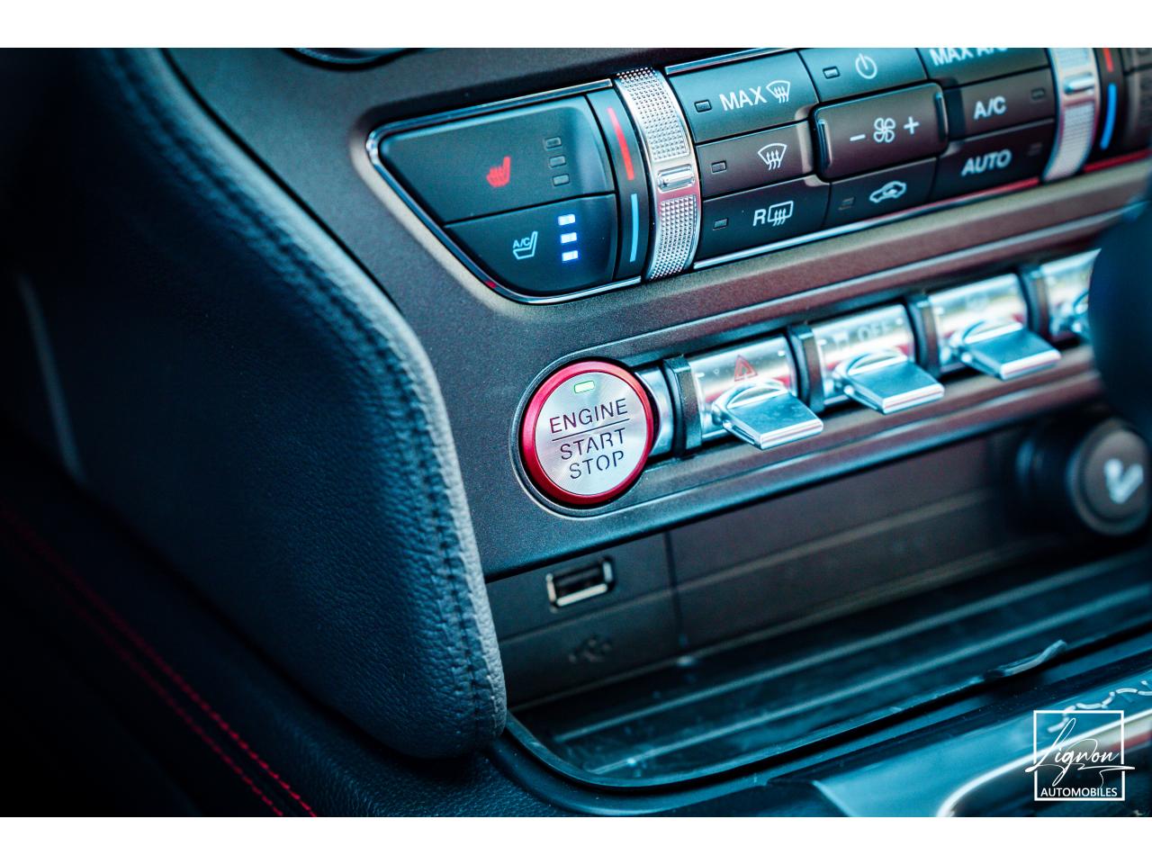 Photo FORD MUSTANG Cabriolet Gt 5.0l V8 450 BVA10 Premium - à partir de 683 euros