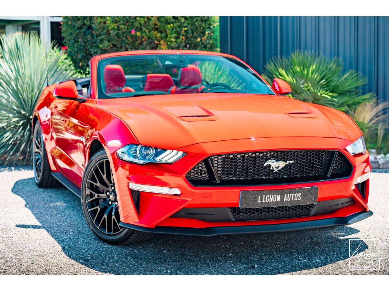 Photo FORD MUSTANG Cabriolet Gt 5.0l V8 450 BVA10 Premium - à partir de 683 euros
